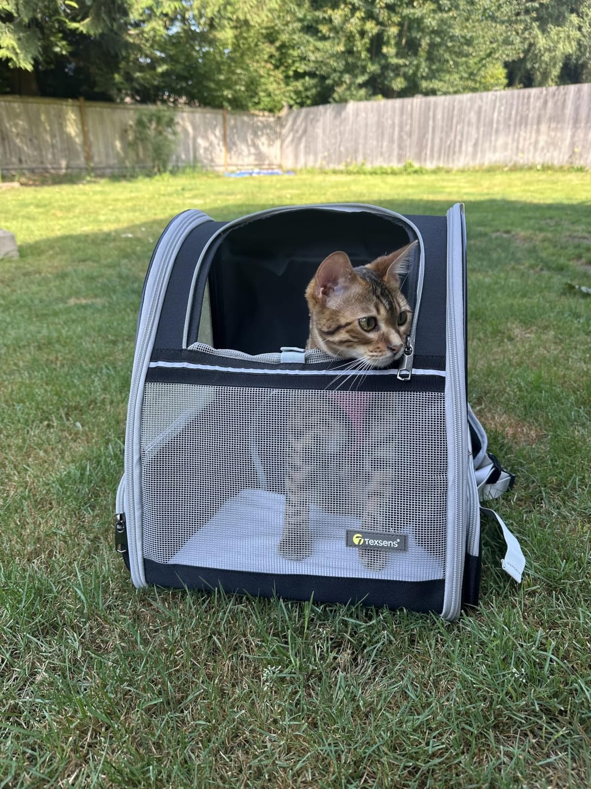 Texsens Innovative Traveler Bubble Backpack Pet Carriers for Cats and Dogs (Black) customer photo 2
