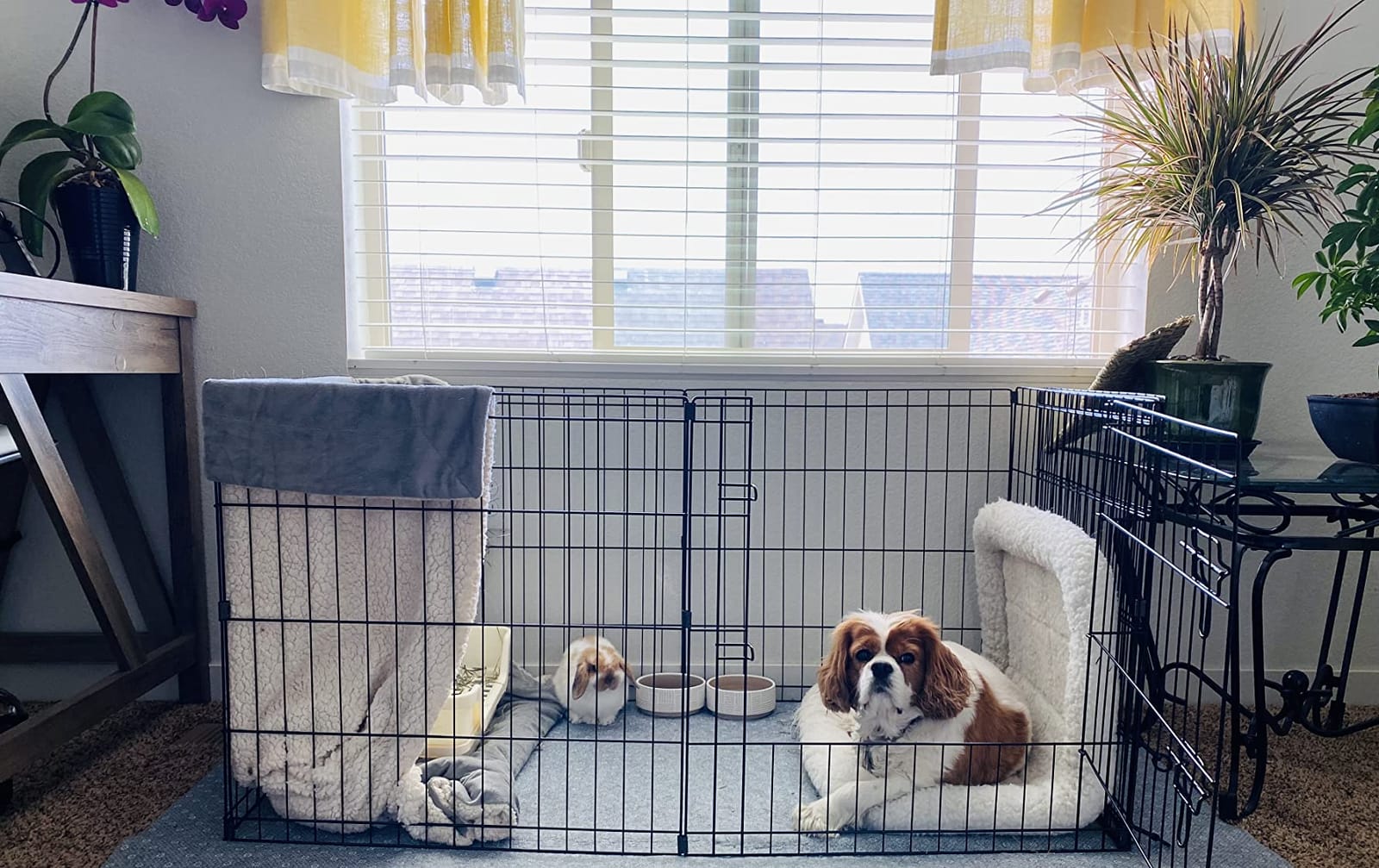 Artmeer Dog Playpen 24