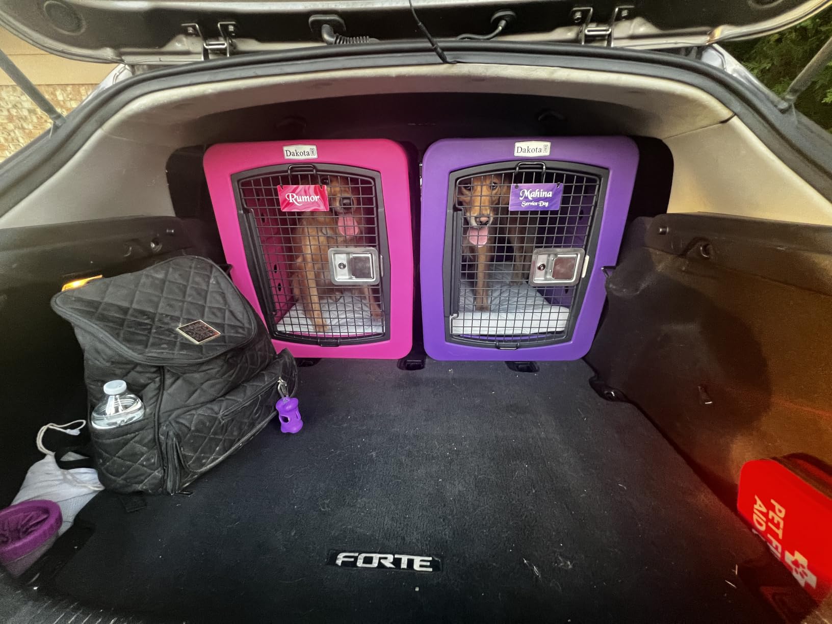 Dakota283 G3 Portable High-Security Framed Dog Kennel, Dark Granite - XL customer photo 2