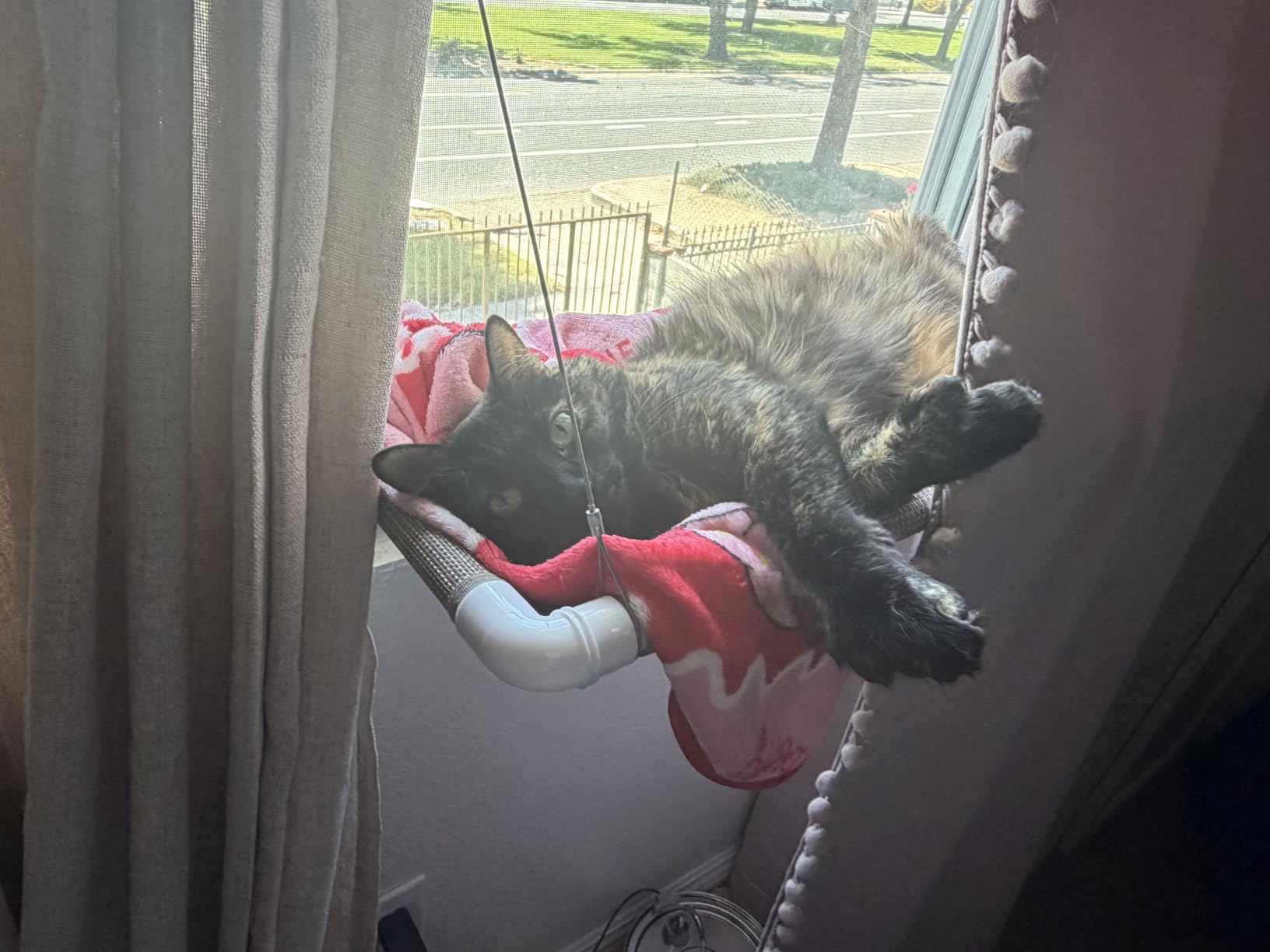 PEFUNY Cat Window Hammock – Mess-Free Waterproof Cats Window Perch for Large Cats, Strong Suction Cup Hammock with Flannel Cover, Indoor Cat Seat, Beige customer photo 2