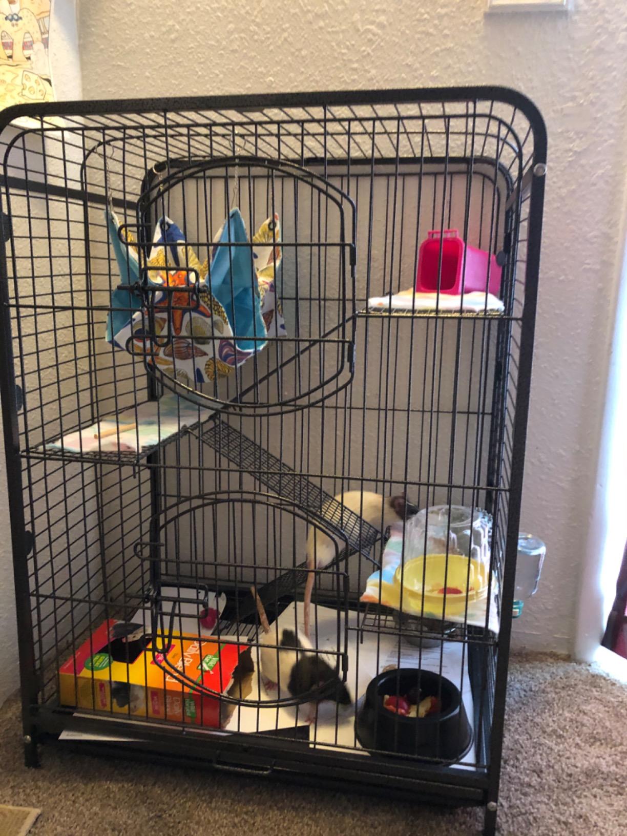 SUPER DEAL 37.2 Inches Metal Ferret Cage Chinchilla 4 Tiers Small Animal Cage with 3 Ladders/ 2 Front Doors/Food Bowl/Water Bottle/Slide Out Trays/Swivel Casters,Black customer photo 1