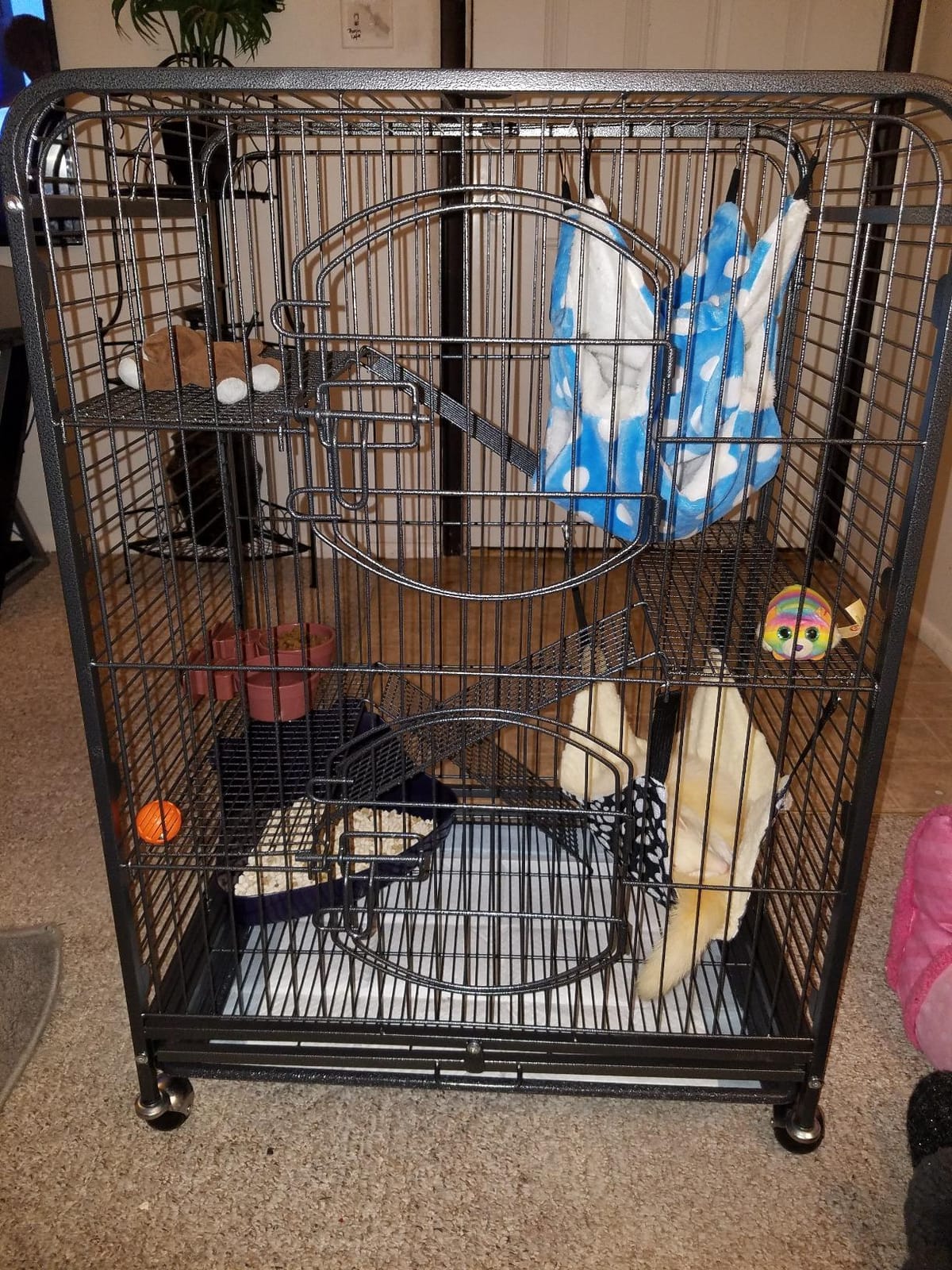 SUPER DEAL 37.2 Inches Metal Ferret Cage Chinchilla 4 Tiers Small Animal Cage with 3 Ladders/ 2 Front Doors/Food Bowl/Water Bottle/Slide Out Trays/Swivel Casters,Black customer photo 2