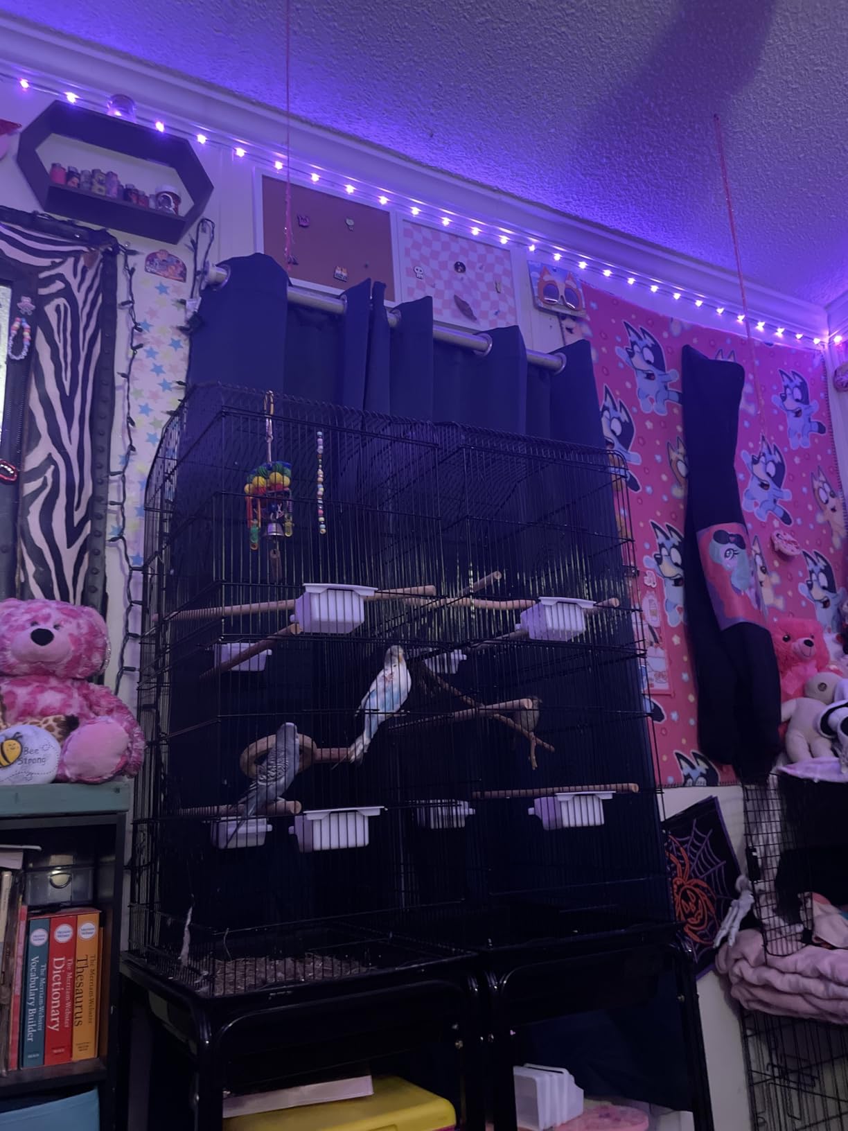 SUPER DEAL 63 Rolling Bird Cage Large Wrought Iron Cage for Cockatiel Sun Conure Parakeet Finch Budgie Lovebird Canary Medium Pet House with Rolling Stand & Storage Shelf customer photo 2