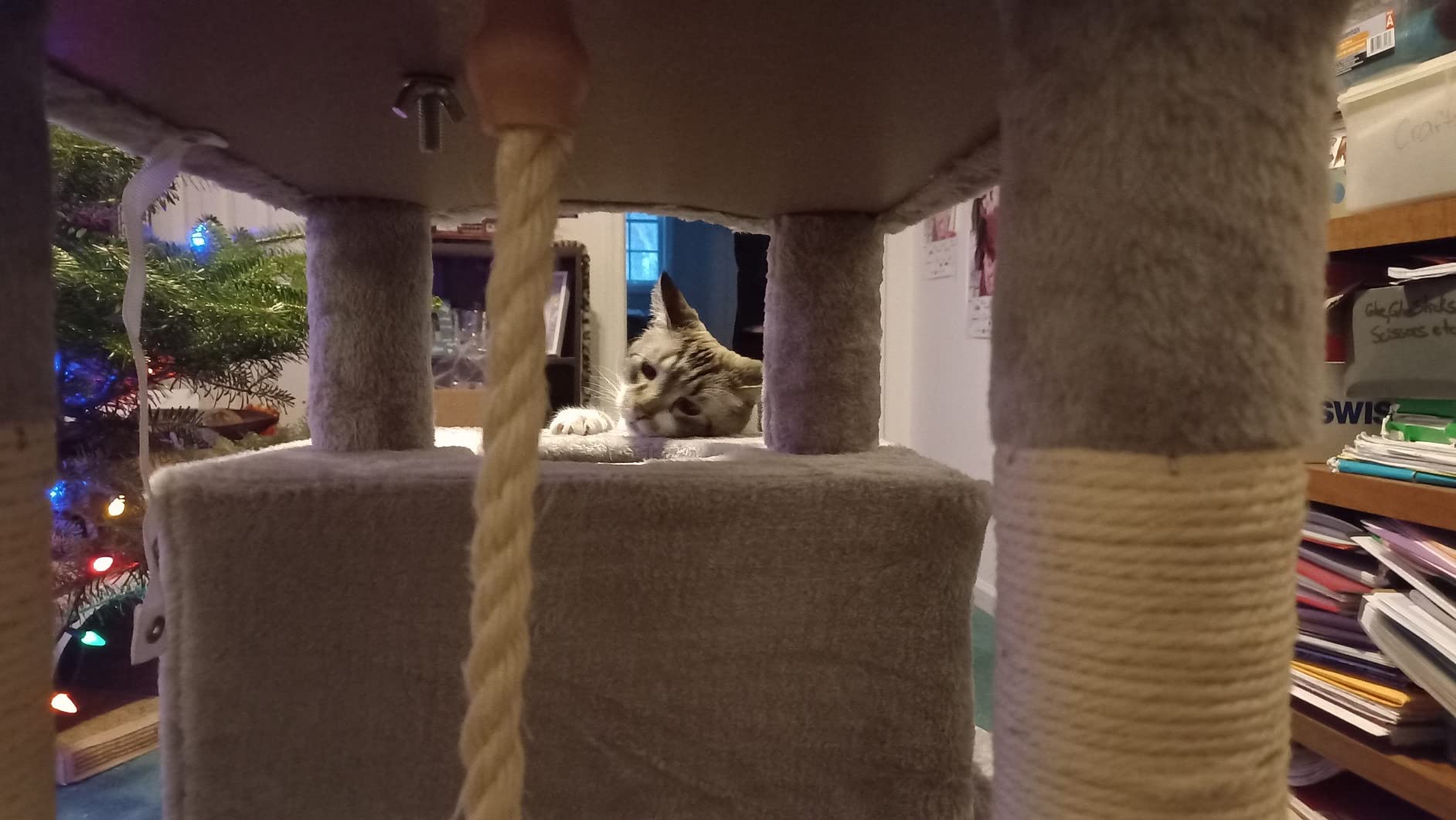 Hey-brother Cat Tree Tower with Sisal Scratching Posts, Big Condo, MPJ020W customer photo 2