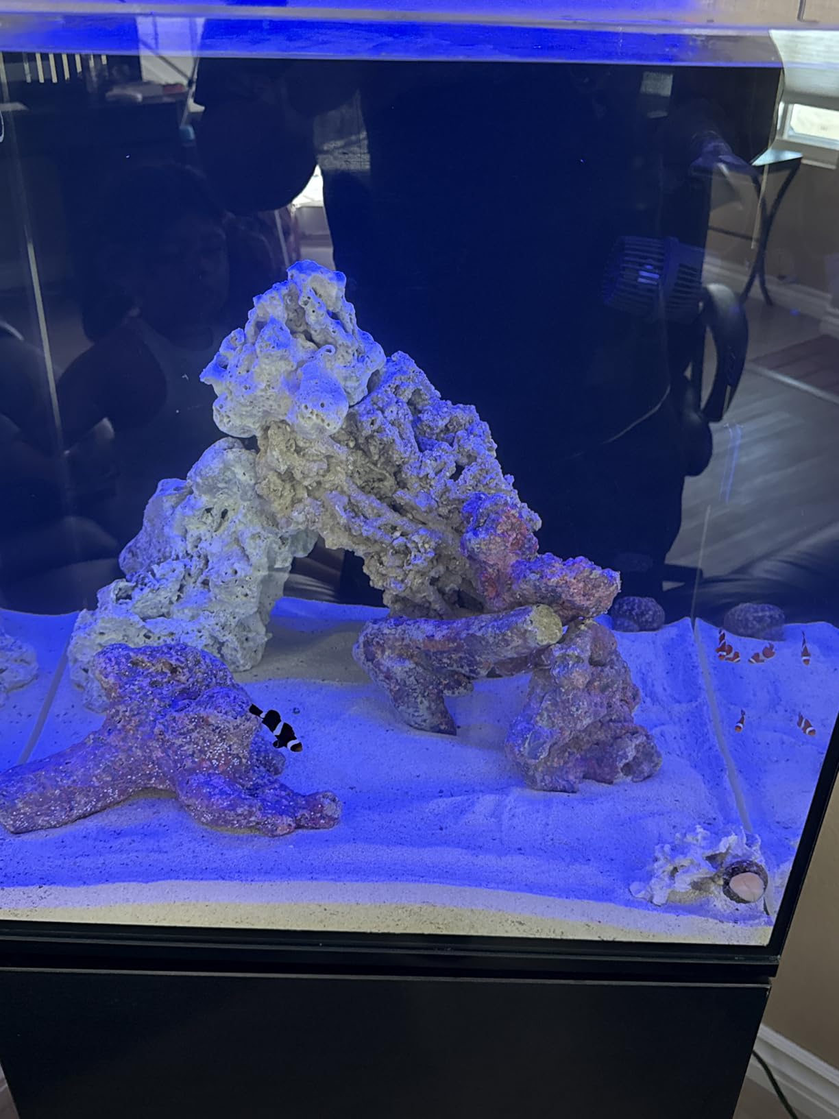VIPARSPECTRA 165W LED Aquarium Light Dimmable Full Spectrum LED Reef Lights customer photo 1