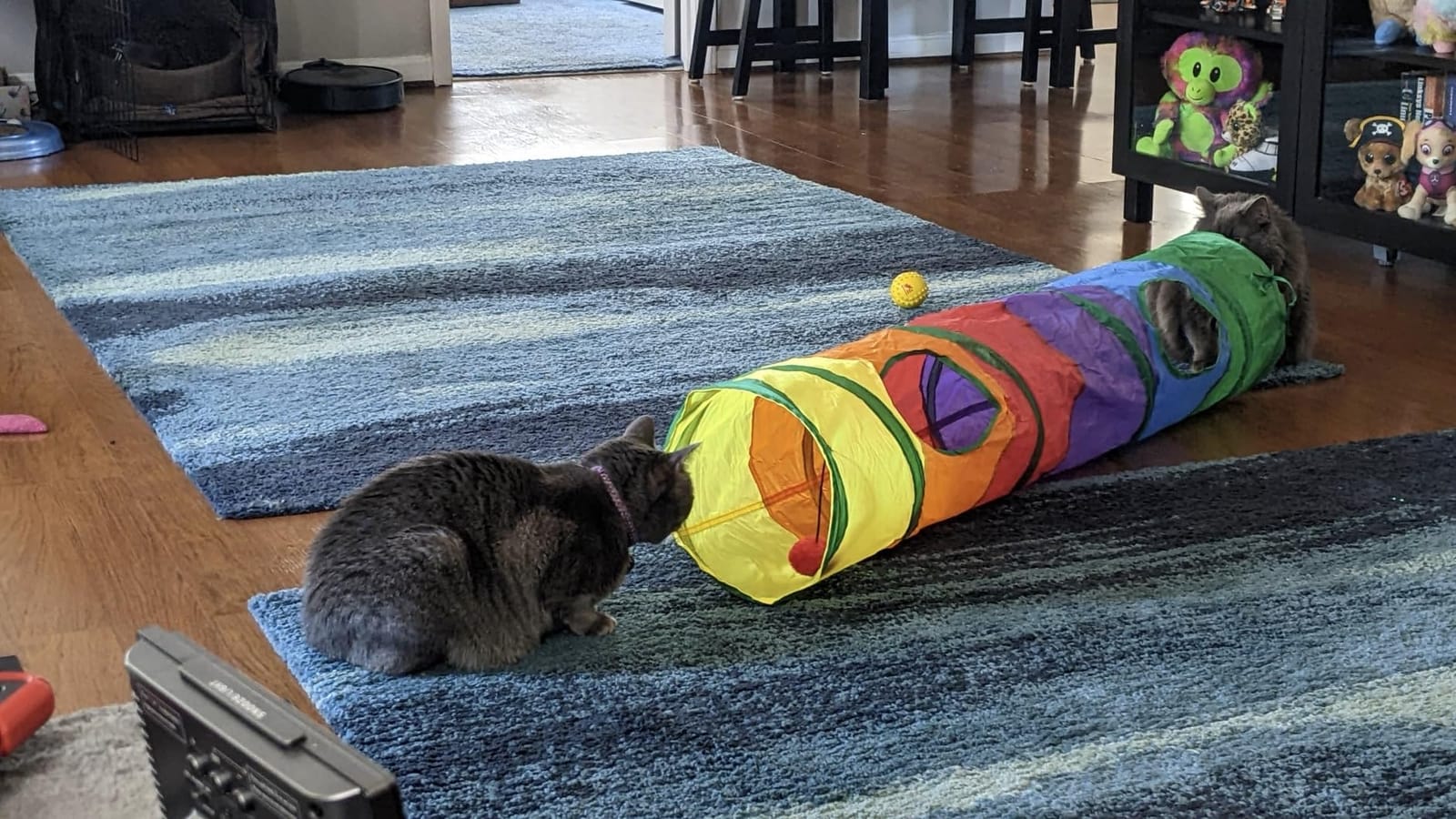 Andiker Cat Tunnel for Indoor Cats, 45