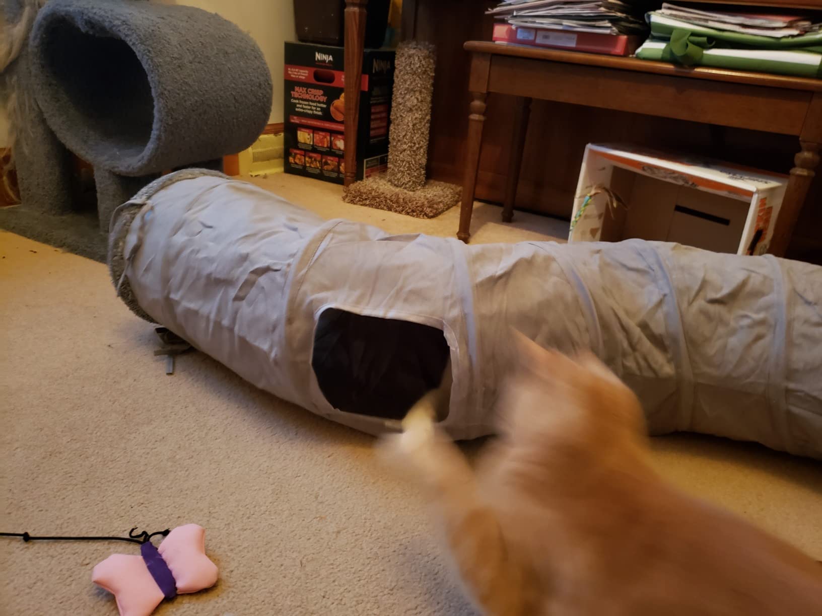 PAWZ Road Cat Tunnel S Shape Cat Tunnels for Large & Indoor Cats 51”Long customer photo 2