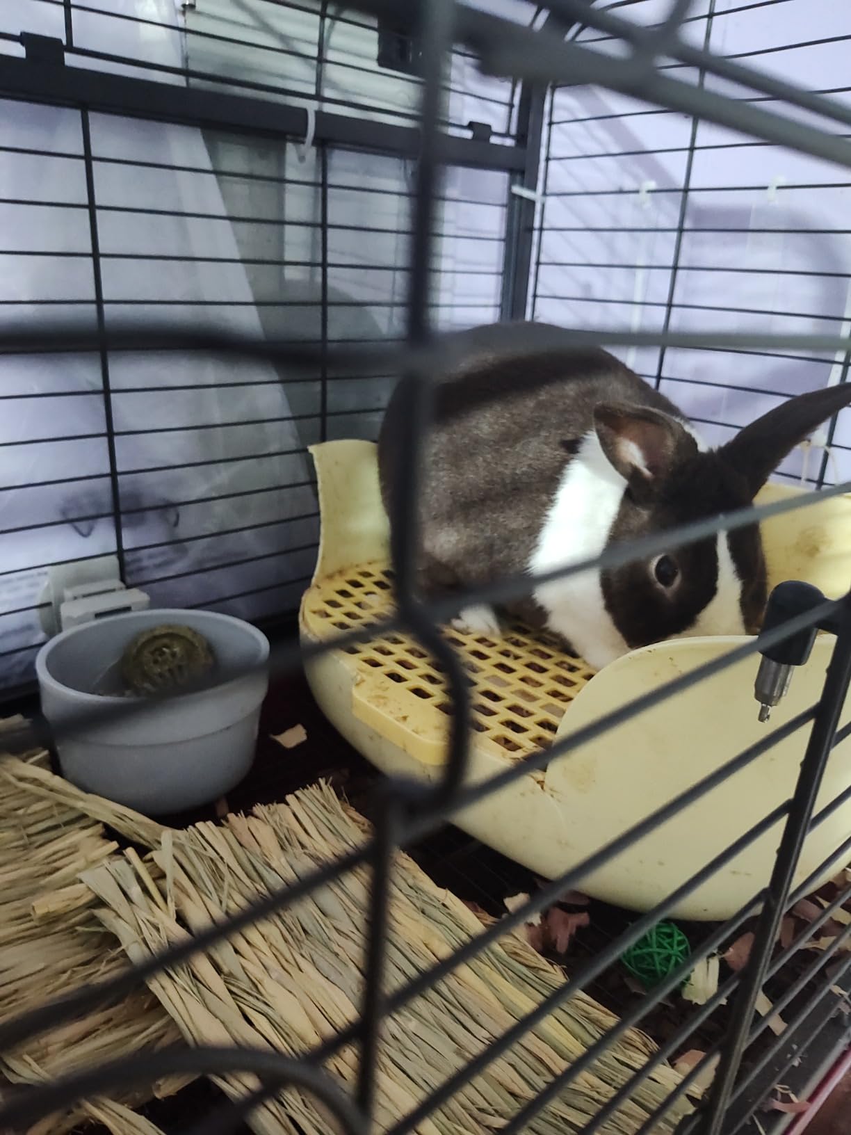 PawHut 41