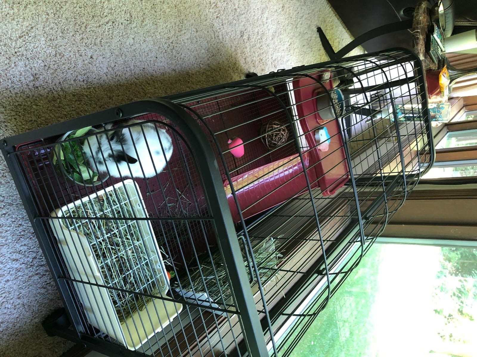 PawHut 41