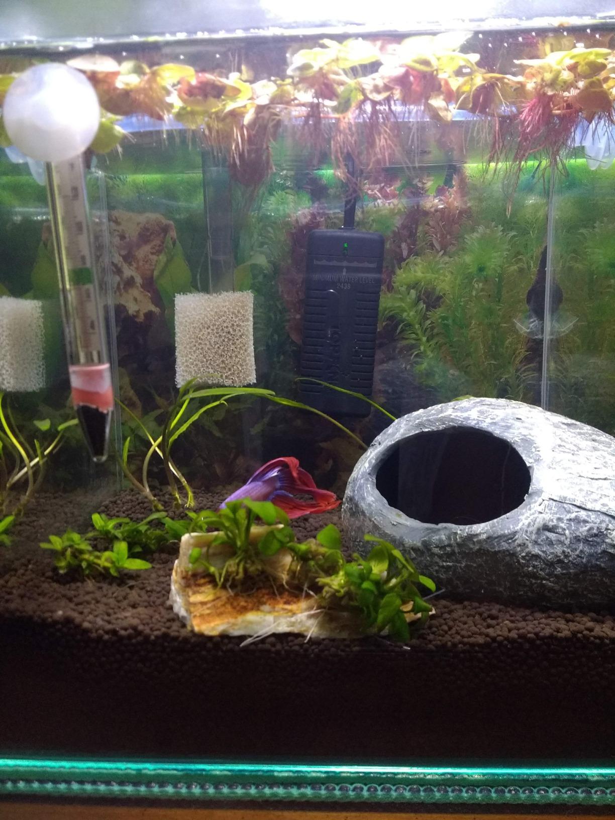 EA Performance Hang-On The Back Power Filter - Up to 4 Gallons - for Desktop and Betta Aquariums - NOT Made in China customer photo 2