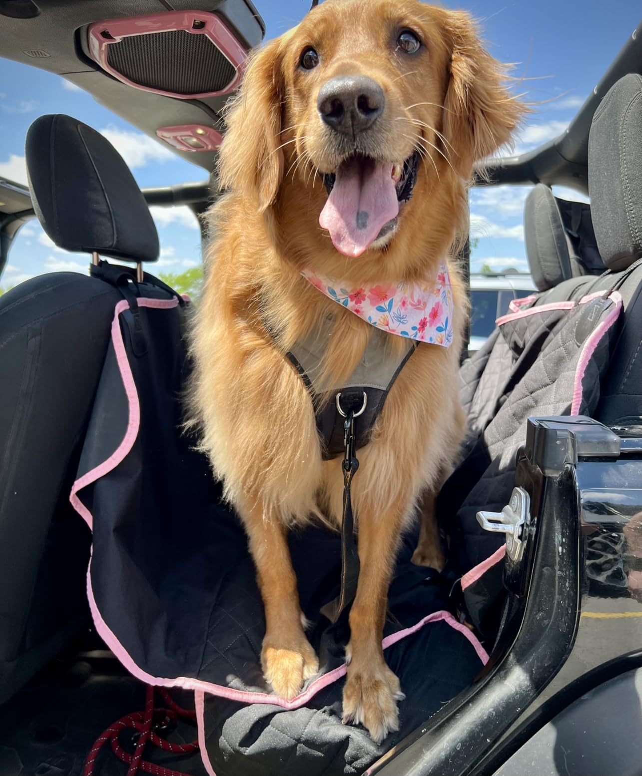 Active Pets Black XL Dog Car Hammock Back Seat Cover, Waterproof Backseat Cover Protector for Truck Bench Rear of Sedans or SUVs, Essential Pet Supplies Vacuum or Wipe Clean, Machine Washable customer photo 2