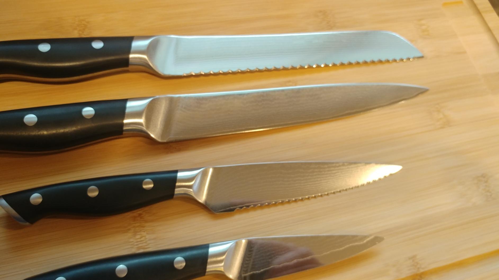 NANFANG BROTHERS 9-Piece VG10 Damascus Knife Set, ABS Handle customer photo 1
