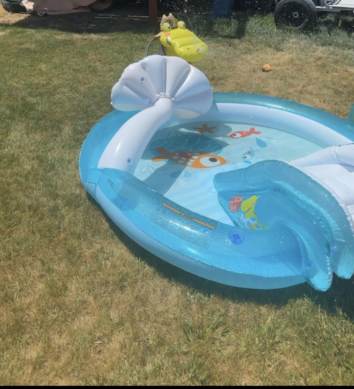 INTEX 57128MW Shark Play Center Inflatable Kiddie Pool, 61.5in x 51in x 33in, Ages 2+ customer photo 2