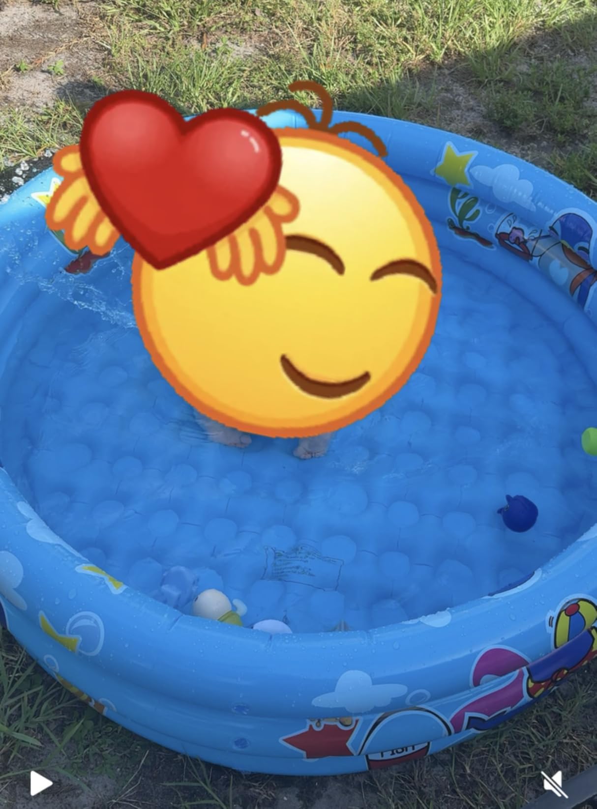 3 Rings Kiddie Pool for Toddler, 48”X12”，Kids Swimming Pool, Inflatable Baby Ball Pit Pool, Small Infant Pool (Blue) customer photo 1