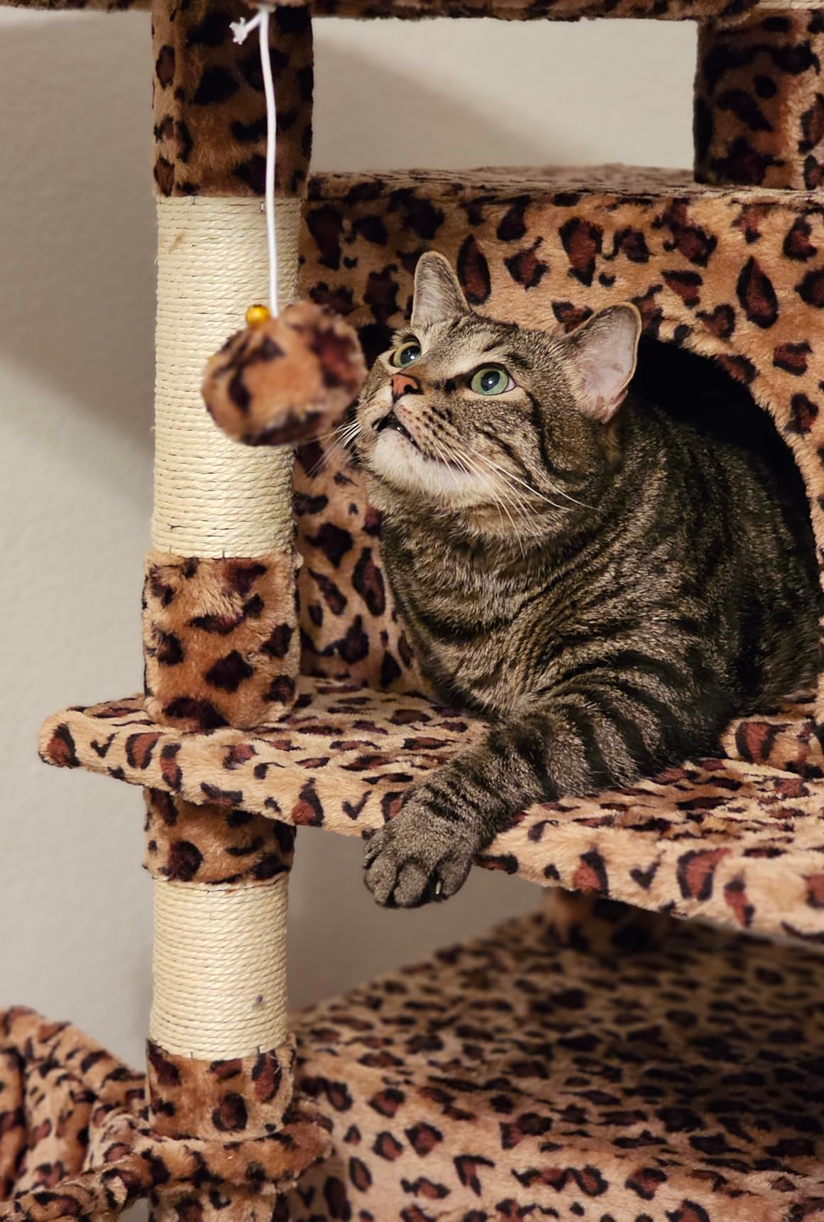 Allewie 68 Inches Cat Tree/House and Towers for Big Feline/Scratching Post/Multi-Level Large Kitty Climbing Tree with Condo/Smokey Grey customer photo 1