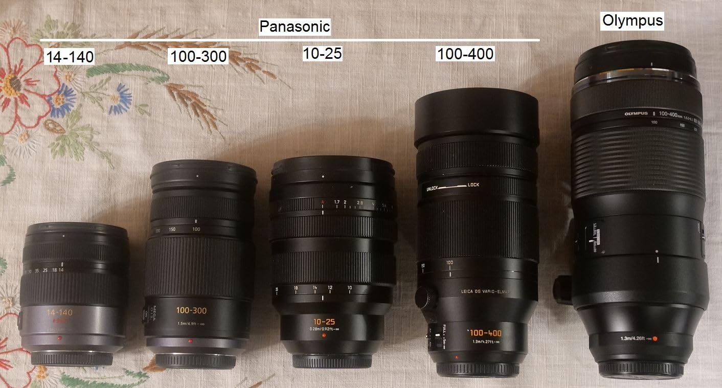 OM SYSTEM Olympus M.Zuiko Digital 100-400mm F5.0-6.3 is for Micro Four Thirds System Camera, Outdoor Bird Wildlife, Weather Sealed Design, Telephoto Compatible with Teleconverter customer photo 1