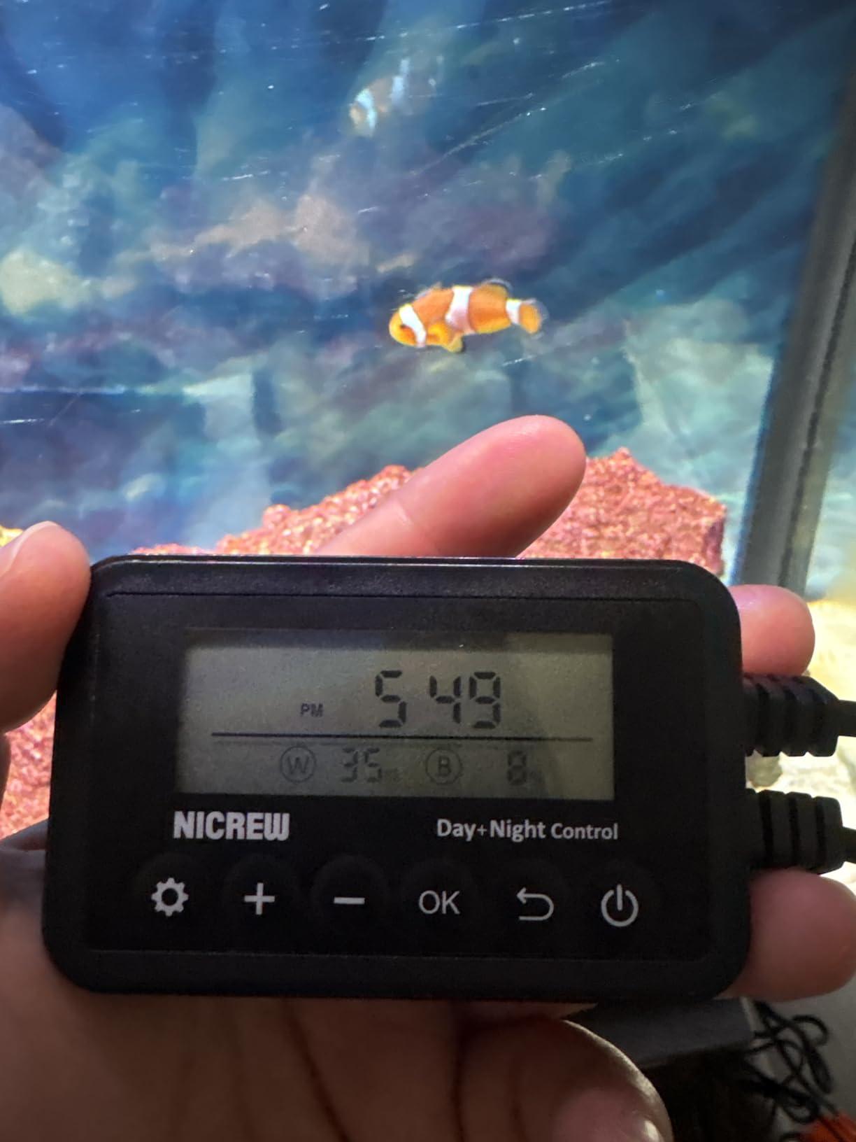 NICREW ClassicLED Marine Saltwater Aquarium Light, 48W for 48–60 inch Tanks customer photo 1