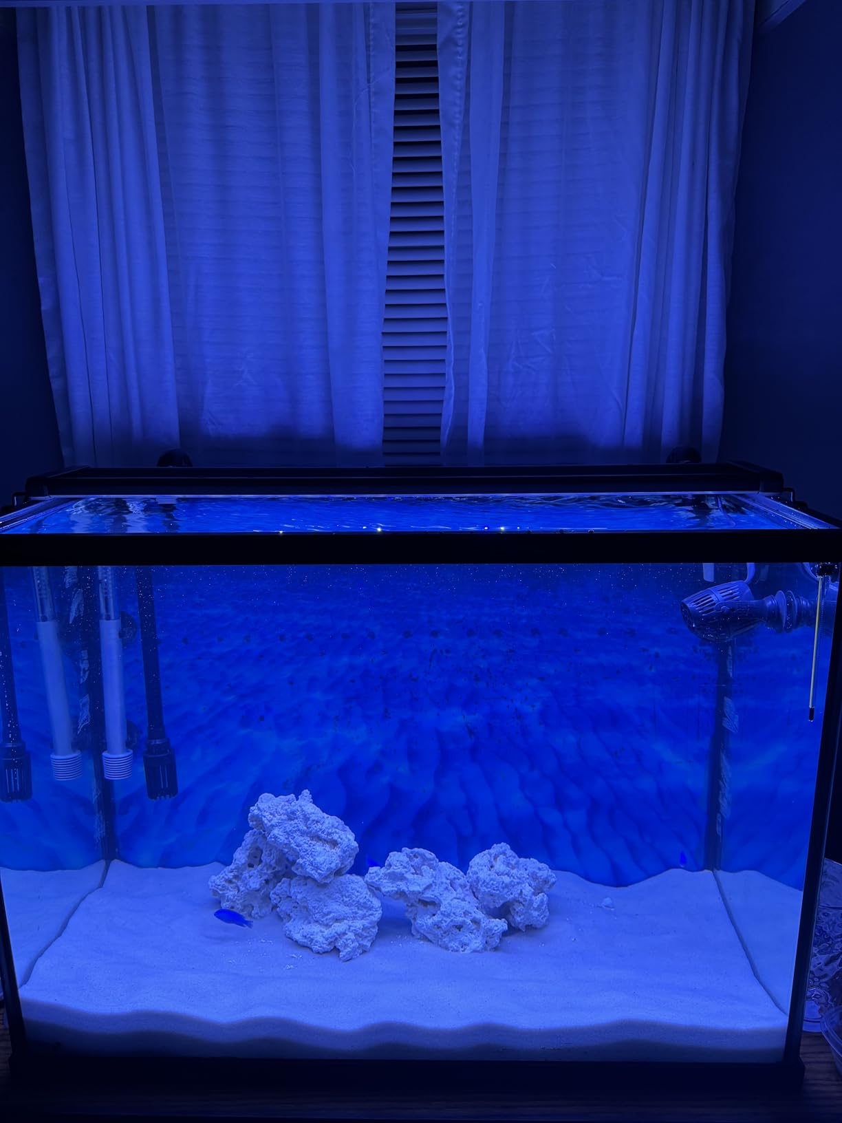 NICREW ClassicLED Marine Saltwater Aquarium Light, 48W for 48–60 inch Tanks customer photo 2