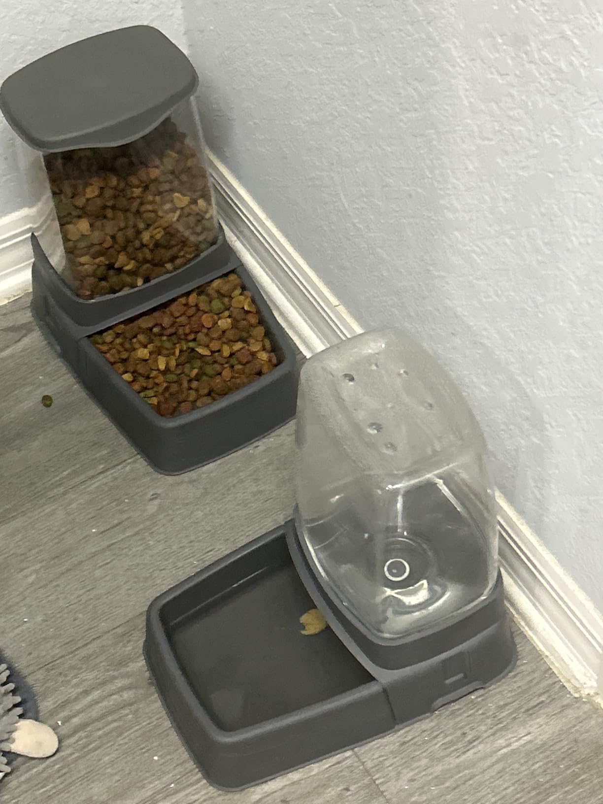 Sport Pet Gravity Feeder and Waterer, Small customer photo 2