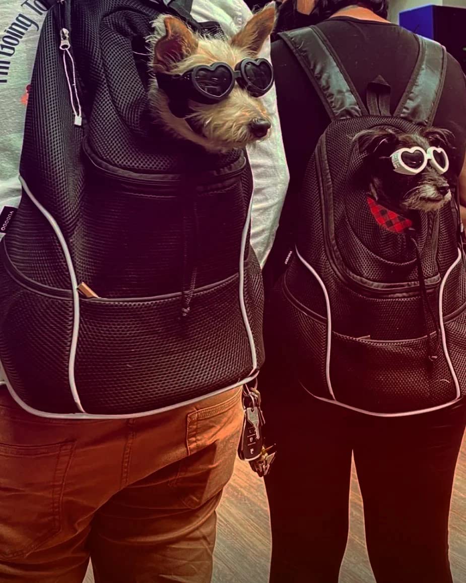 YUDODO Dog Front Carrier Backpack, Adjustable Breathable Dog Backpack customer photo 1