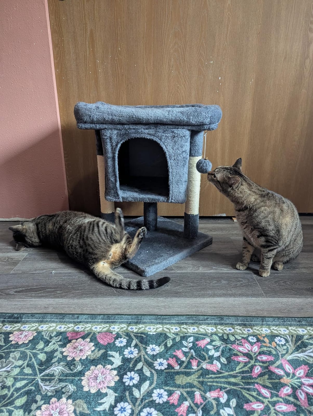 Yaheetech Small Cat Tree 23.5in for Kittens & Senior Cats, Low Profile Gray customer photo 2