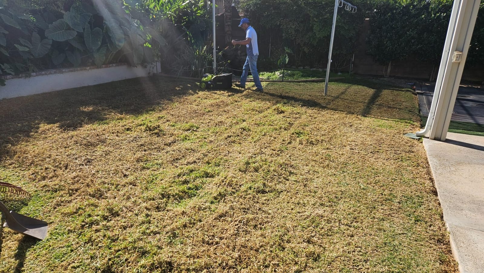 Sun Joe Cordless Scarifier & Dethatcher with 5 Depth Positions & 600W Brushless Motor, 15-Inch Cutting Width - Heavy-Duty Yard Trimmer Machine for Gardening Care and Lawn Maintenance, 24V-X2-DTS15 customer photo 1