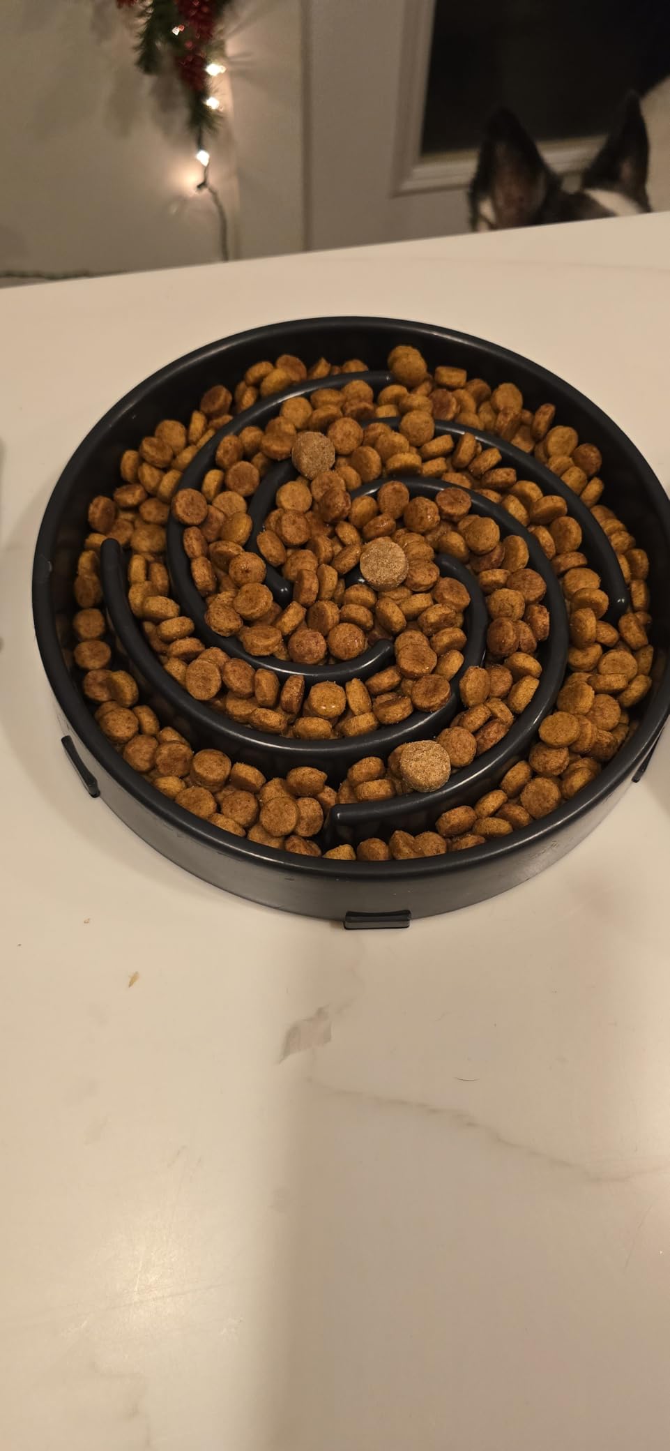 JASGOOD Slow Feeder Dogs Bowl for Large Medium Dogs,Anti-Gulping Pet Slower Food Feeding Bowls Stop Bloat,Preventing Choking customer photo 2