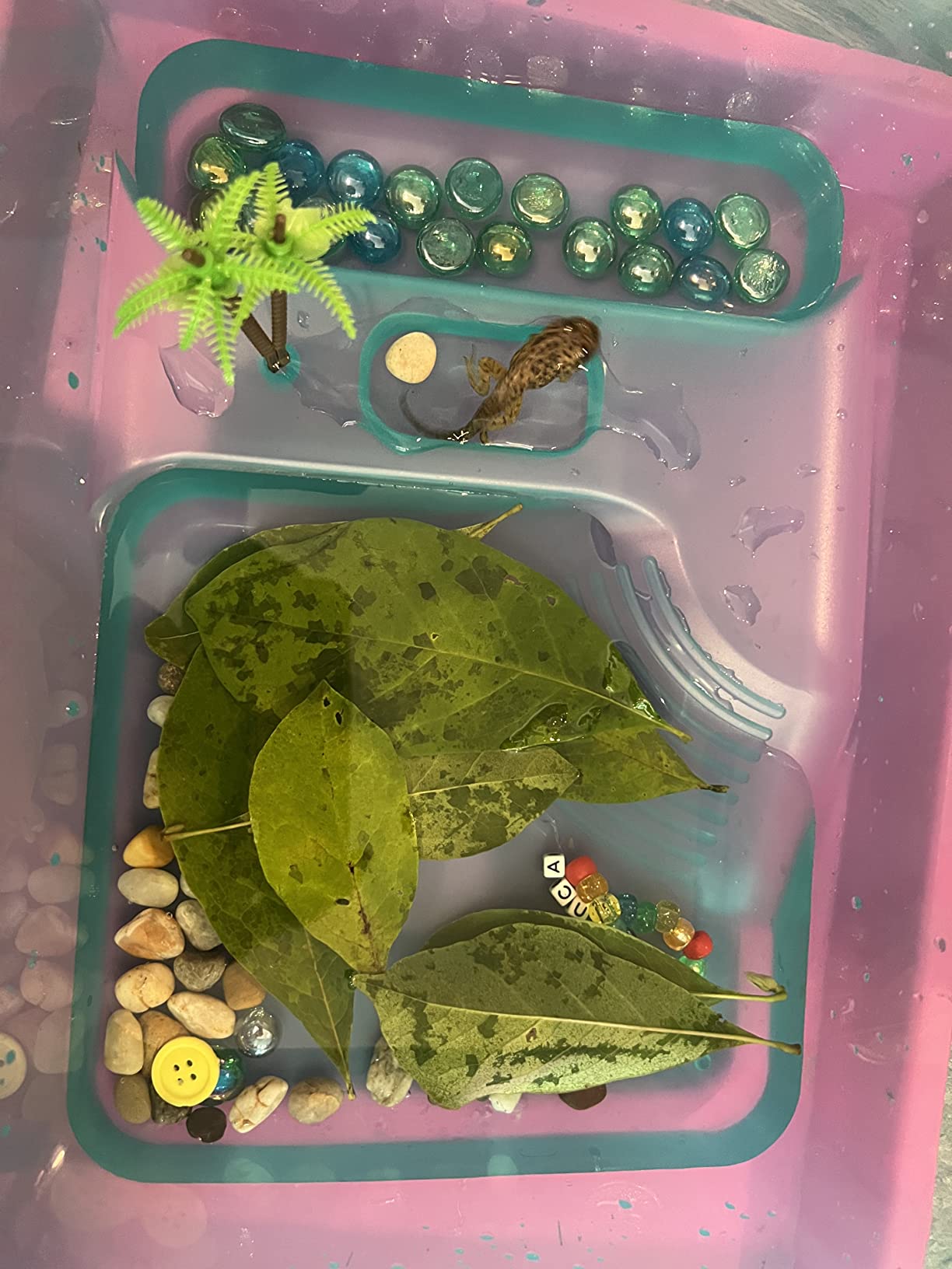 kathson Turtle Tank Aquarium, Turtle Habitat Reptile Plastic Terrarium Safe Durable, Tortoise Tank with Lid Prevent from Climbing Escaping (Small) customer photo 2