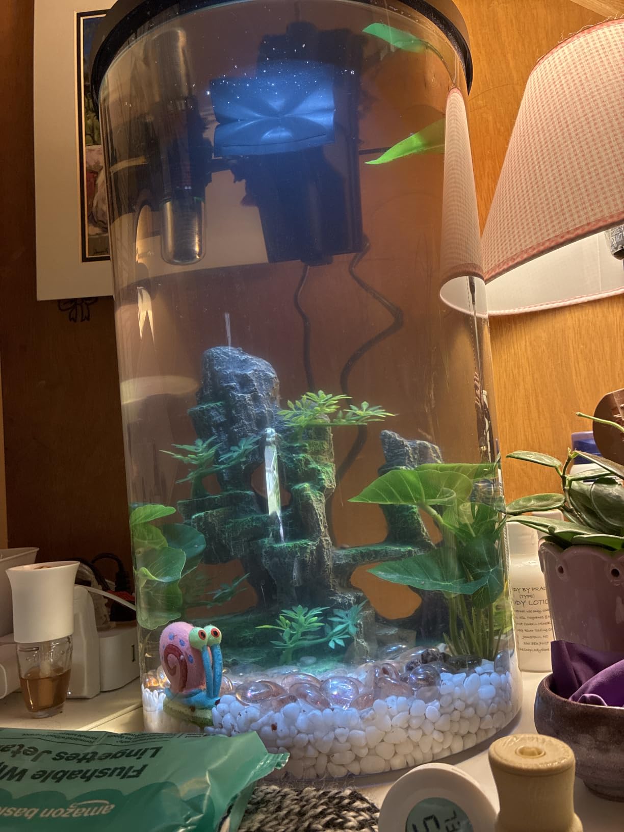 Koller Products Plastic 6-Gallon AquaView 360 Aquarium Kit for Tropical Fish, Betta Fish with LED Lighting and Power Filter Clear, 4-Piece Set customer photo 1