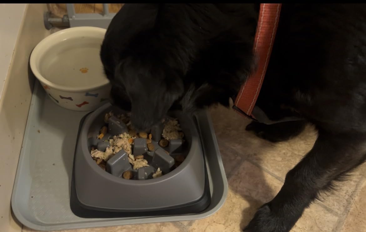 GORILLA GRIP® Patented Slow Feeder Dog and Cat Bowl, BPA Free, 2 Cup Gray customer photo 2