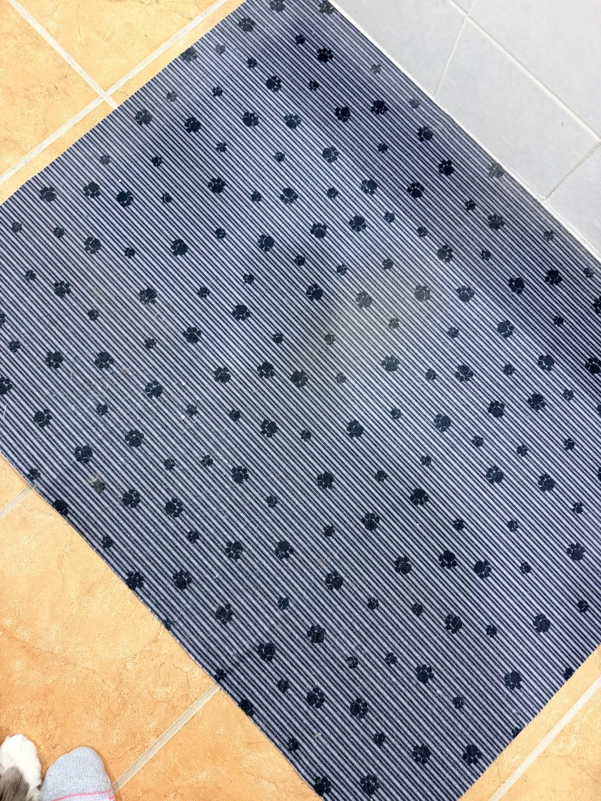 Drymate Cat Litter Box Mat, Litter Trapping Mat, Dark Grey, 28x36 XL customer photo 2