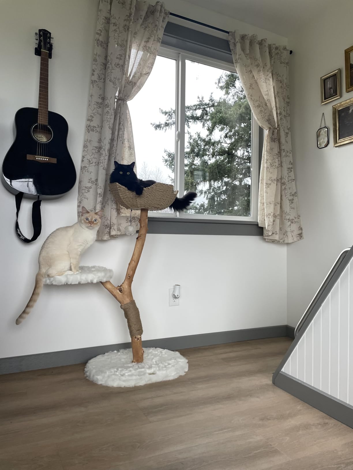 Mau - Modern Wood Cat Tree Tower with Scratching Post, Aesthetic Cat Condo customer photo 2