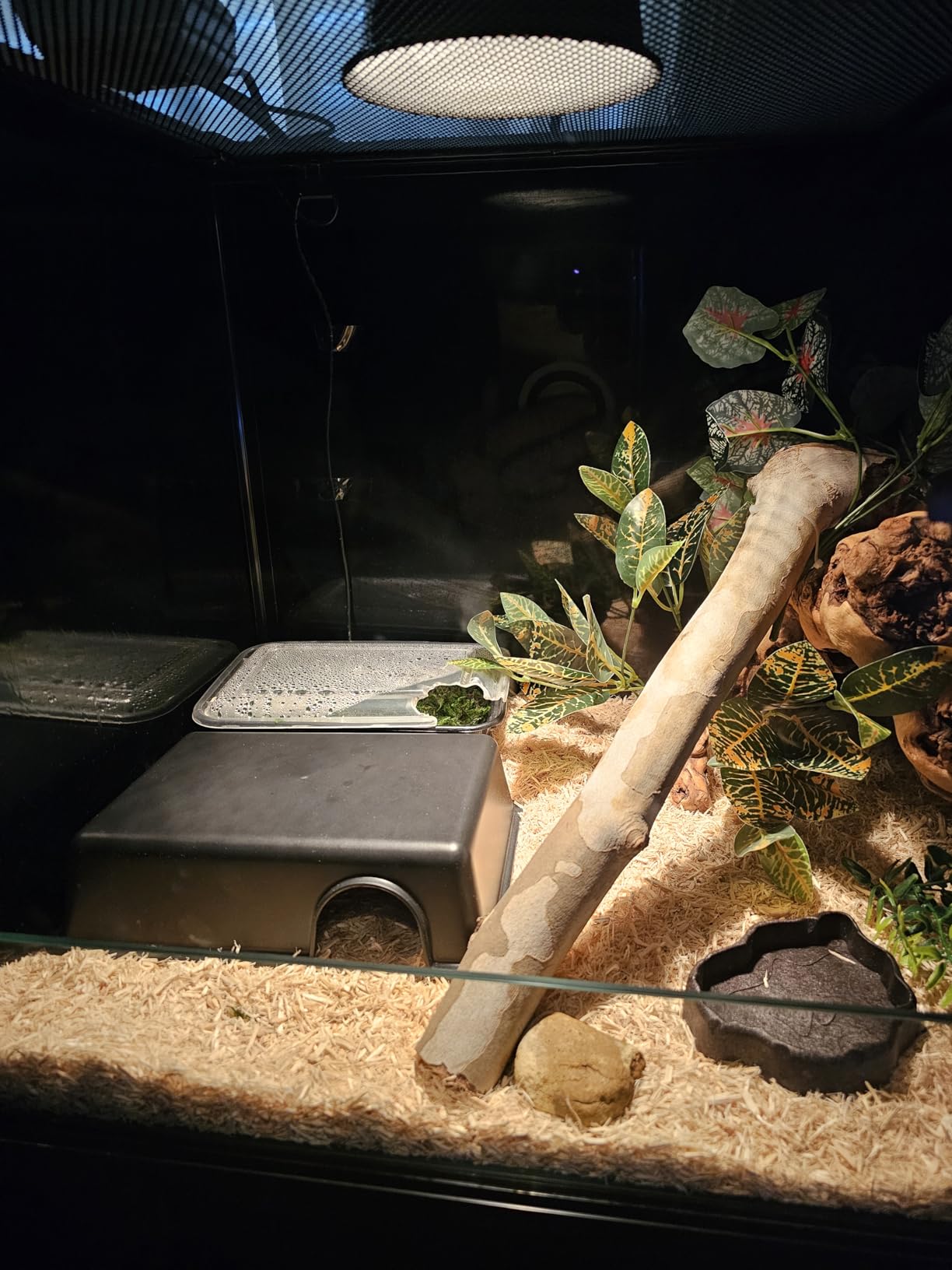 REPTI ZOO 68 Gallon Reptile Terrariums, 48
