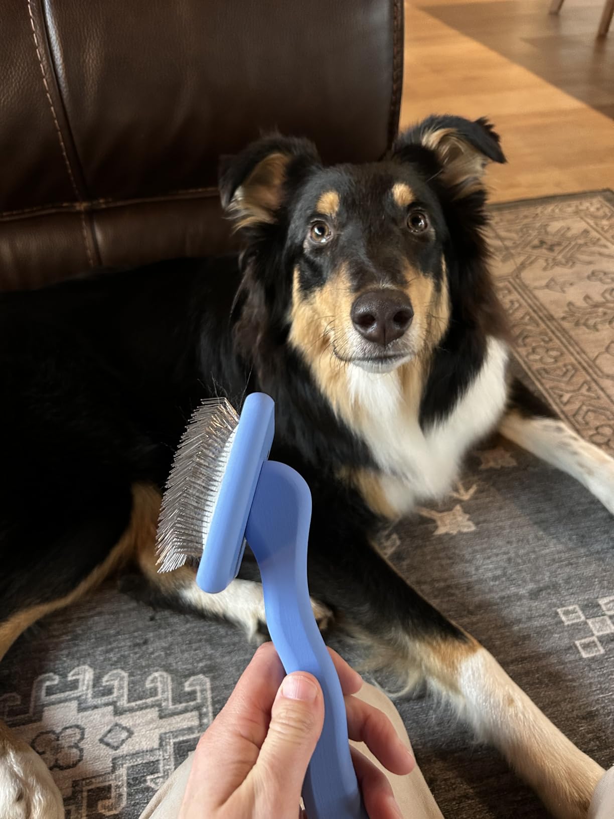 Slicker Brush for Dogs, Pet Grooming Brushes for Doodles & Poodles, Large customer photo 2