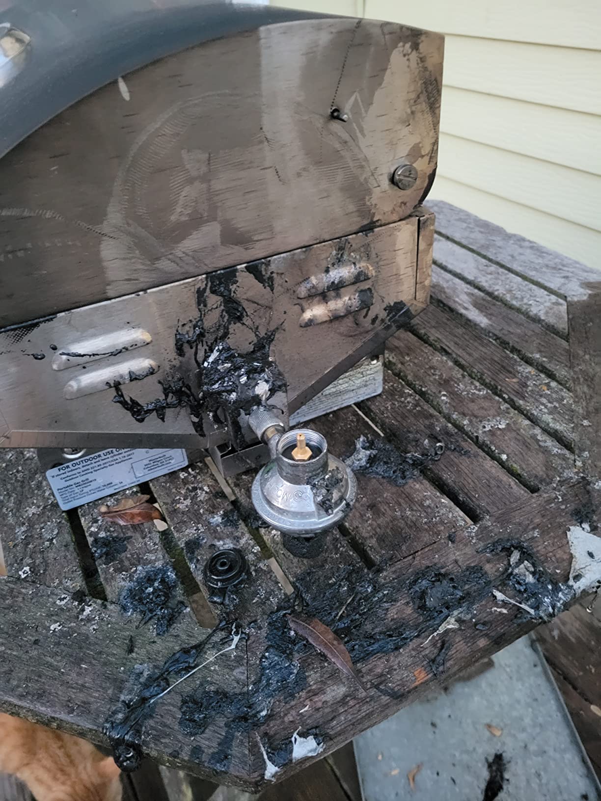 Masterbuilt Portable Propane Gas Grill with Folding Legs, Chrome-Coated Warming Rack and 288 Cooking Square Inches in Stainless Steel, Model MB20030819 customer photo 1