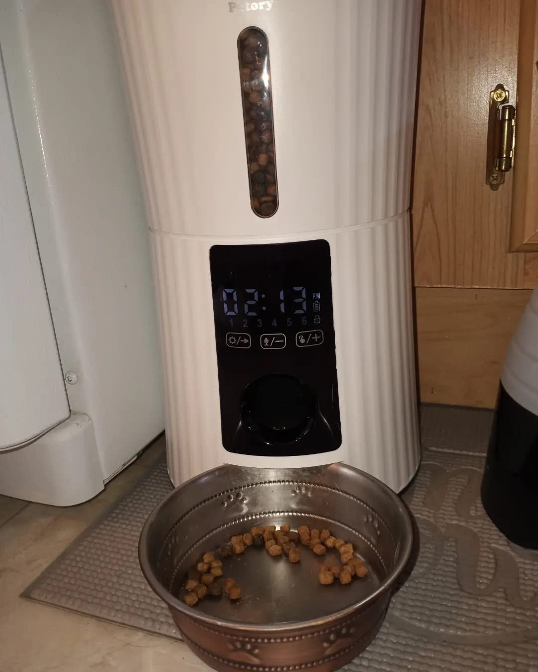 Petory Timed Automatic Cat Feeder - 4L Dry Food Dispenser for Cats and Dogs customer photo 2