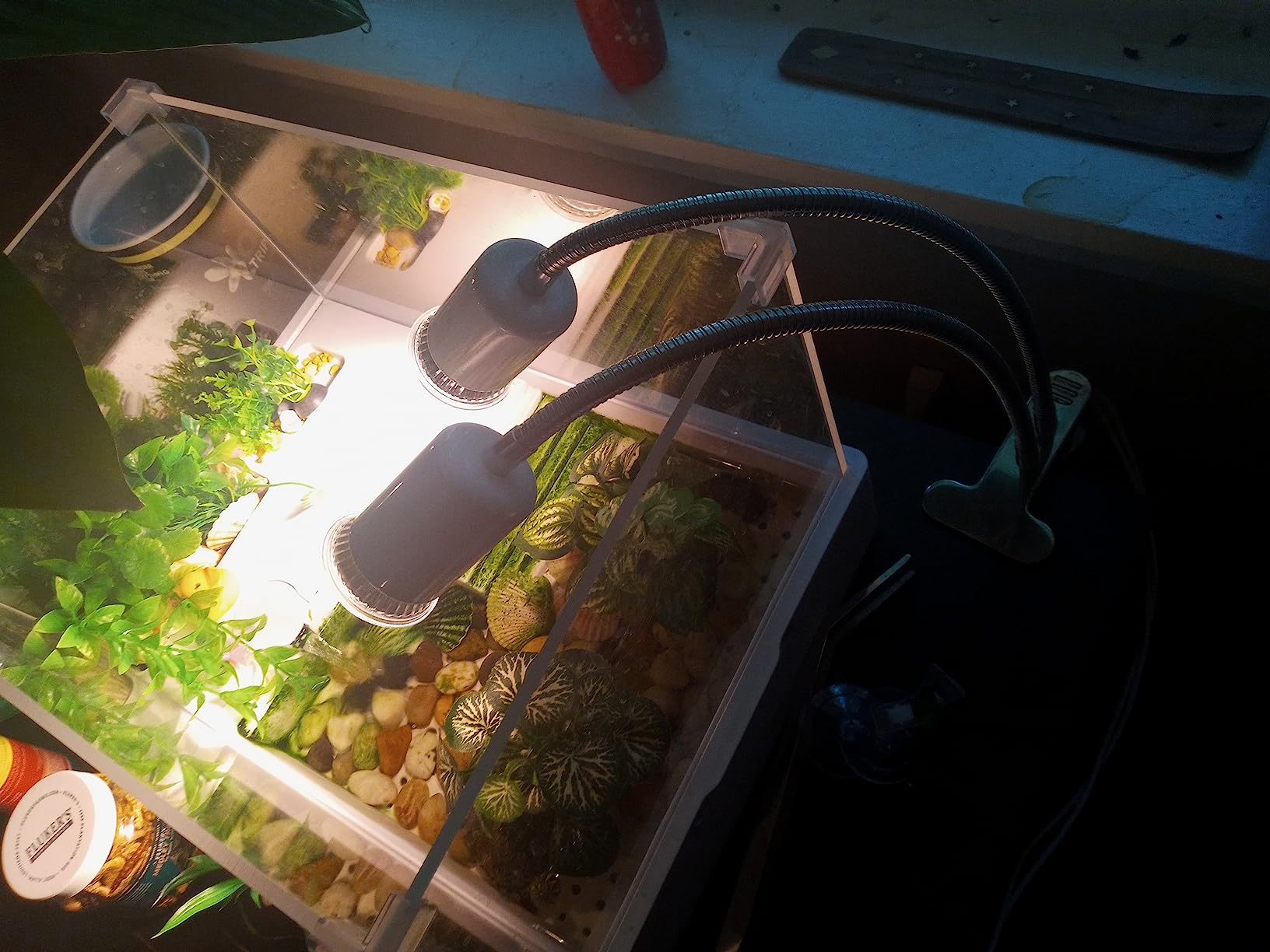 Medium Turtle Tank with Water Pump customer photo 1
