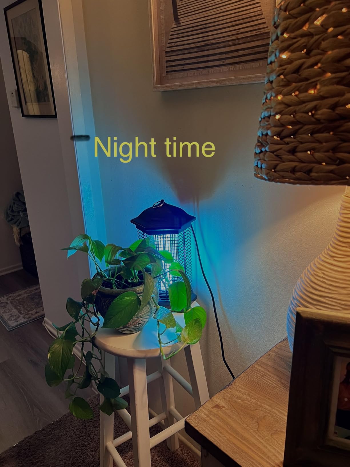 AMUFER Bug Zapper Outdoor & Indoor, 18W & 4400V, 1/2 Acre, 5.5-Ft Cord customer photo 2