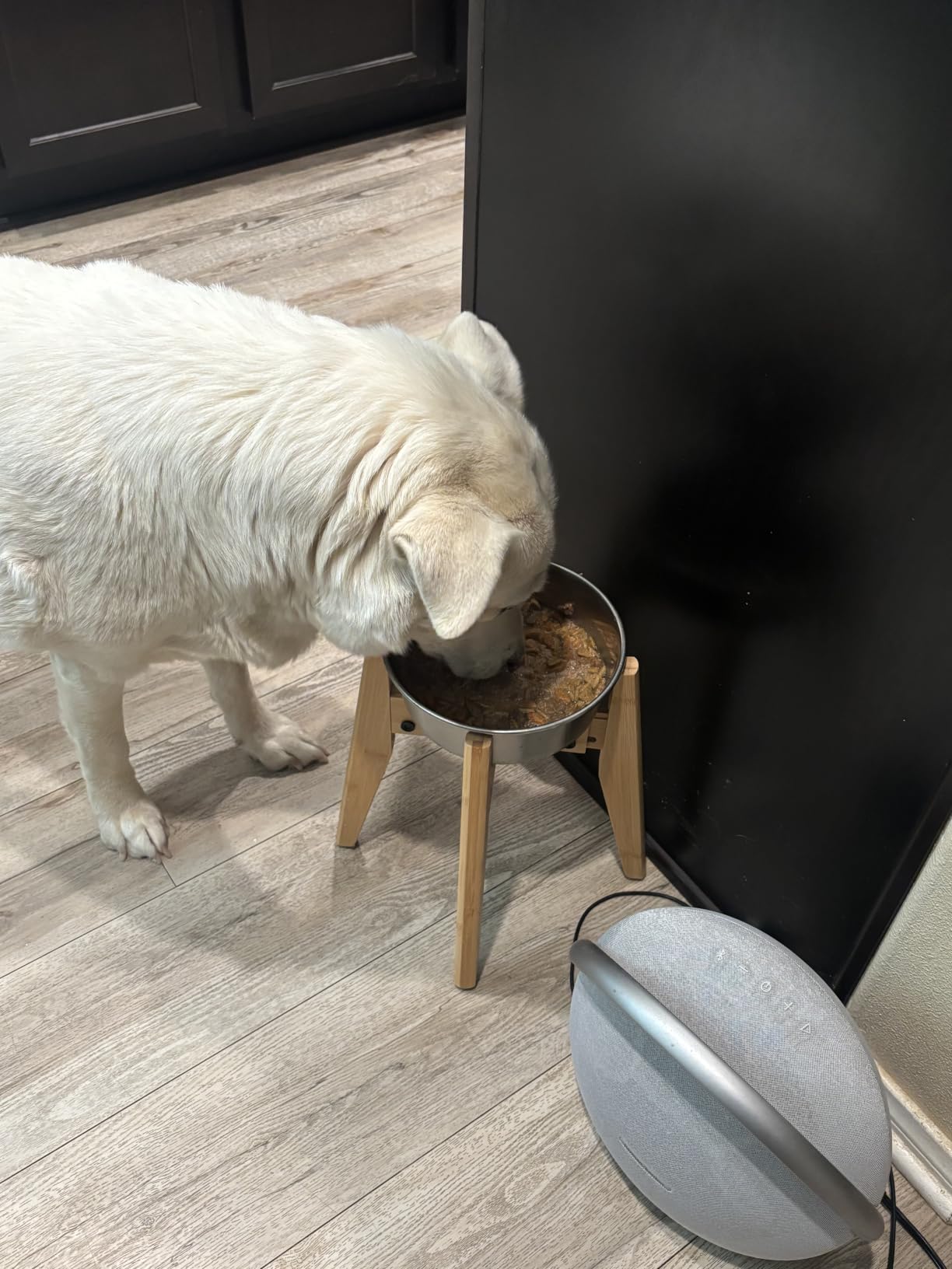 Dog Bowl Stand for Large Dogs - Adjustable, Bamboo customer photo 1