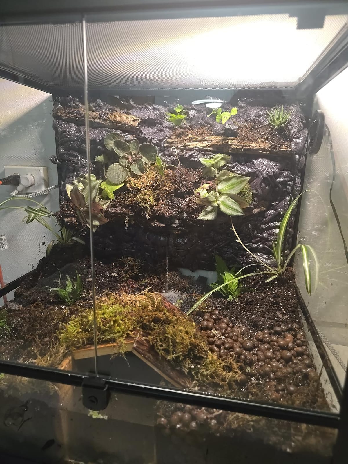 REPTIZOO 45 Gallon Glass Reptile Terrarium 24