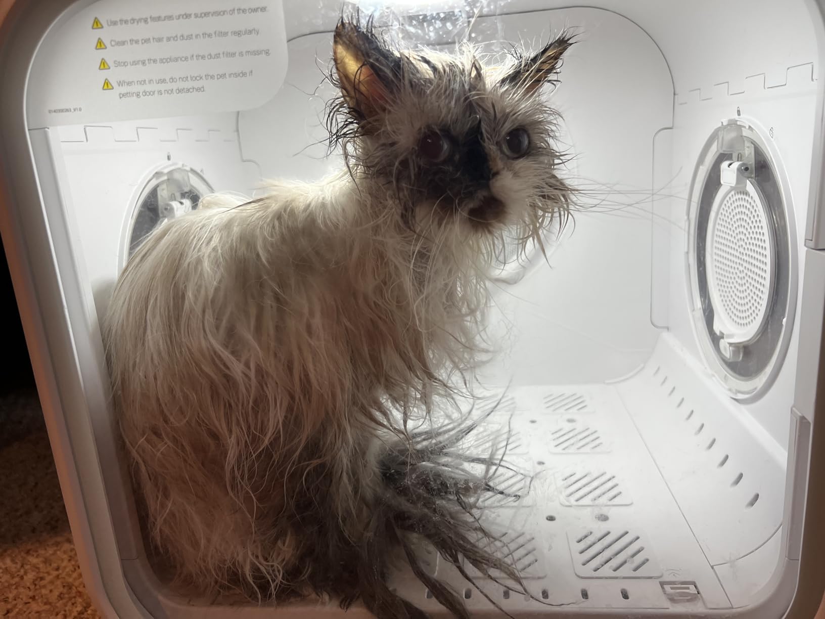 HomeRunPet Automatic Cat Dryer, 40dB Ultra Quiet Pet Dryer Box (Drybo Plus) customer photo 1