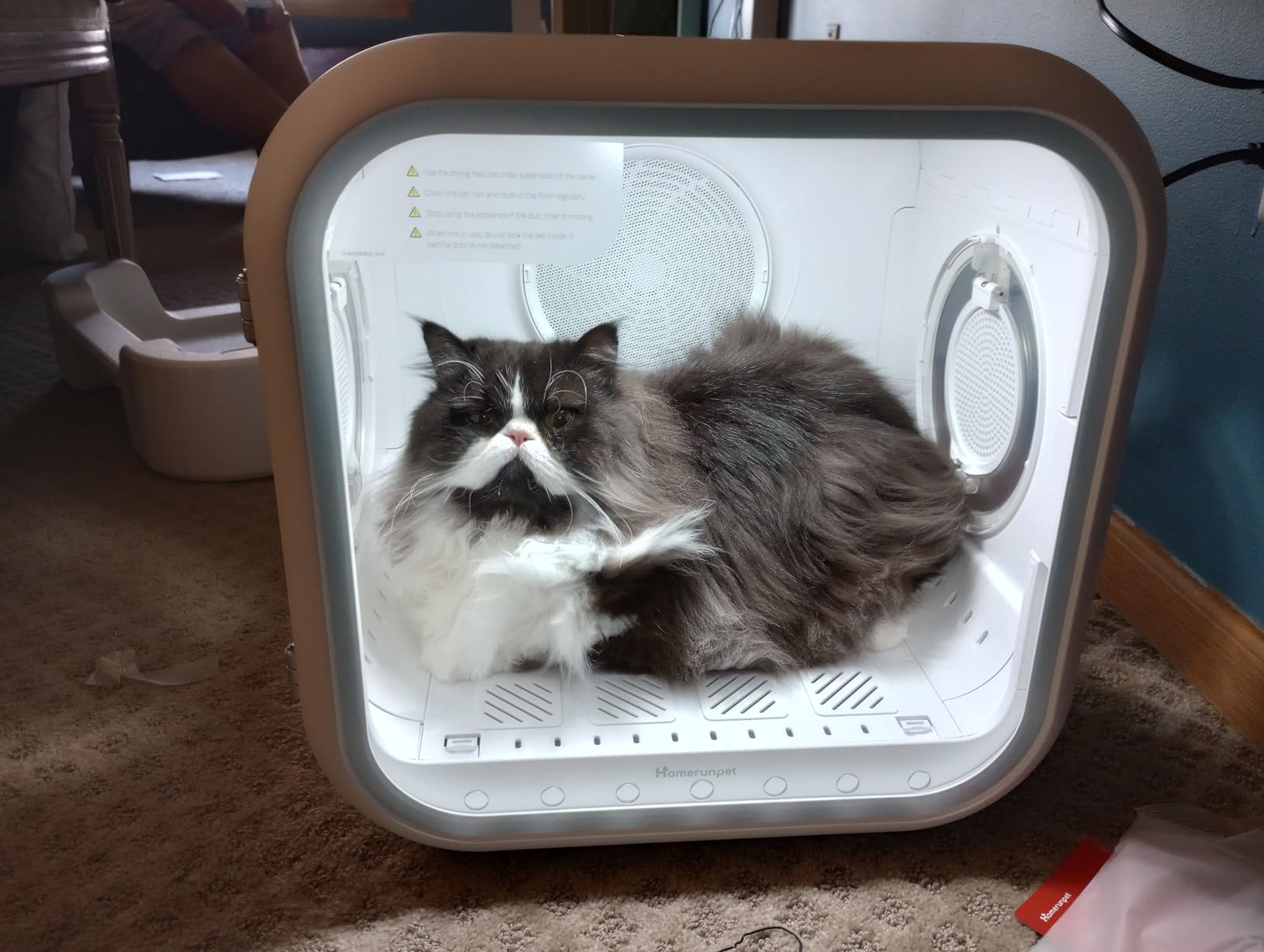 HomeRunPet Automatic Cat Dryer, 40dB Ultra Quiet Pet Dryer Box (Drybo Plus) customer photo 2