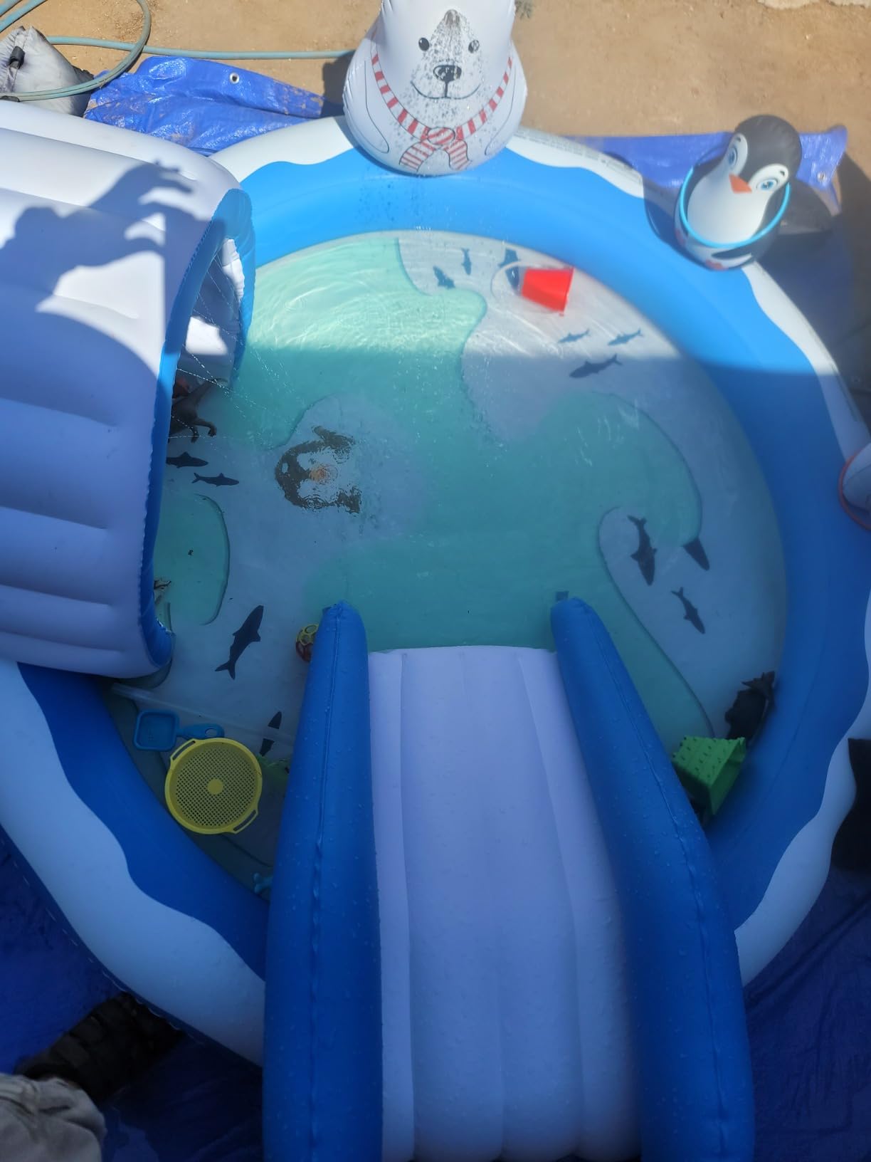 Inflatable Play Center, EVAJOY Kiddie Pool with Slide for Children, Sprinkler, Ice & Snow Theme with Inflatable Dolls, Easy Setup for Garden, Backyard, Indoor Usage customer photo 1
