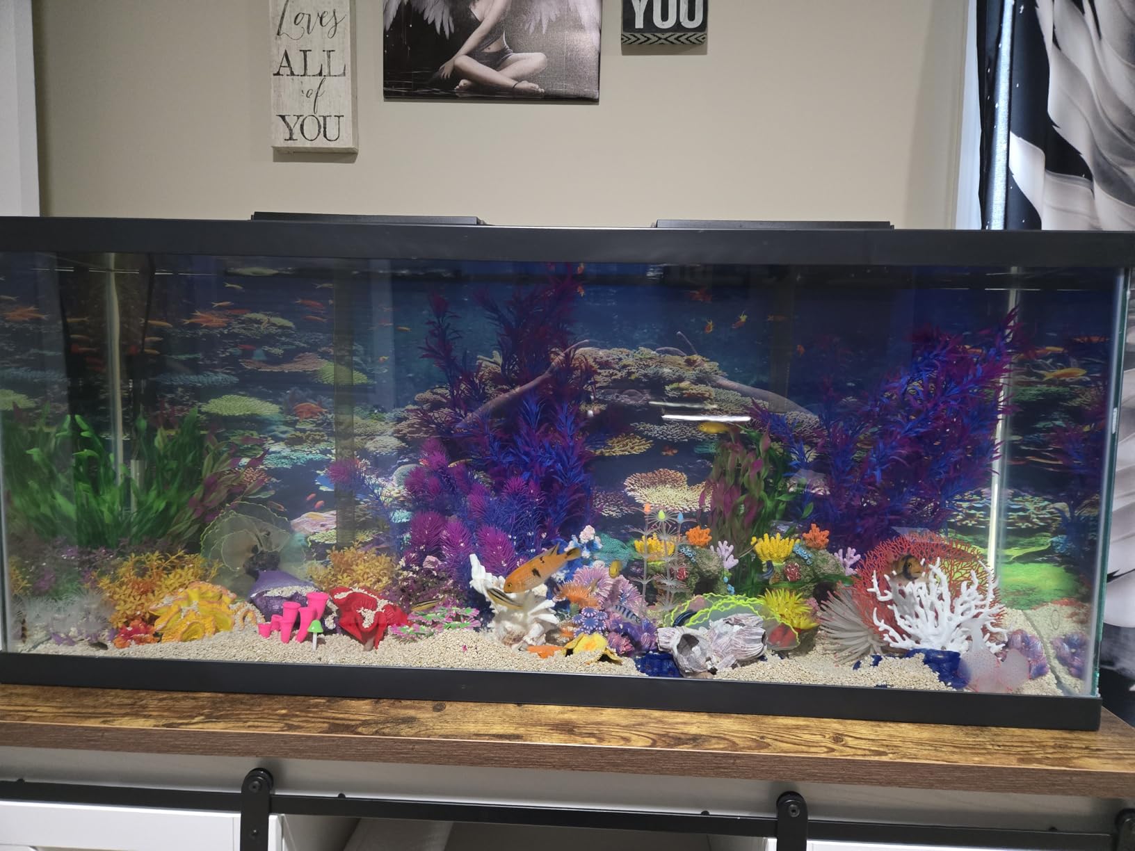 Tetra Complete 29 Gallon Fish Tank Kit for Freshwater & Saltwater Fish customer photo 1