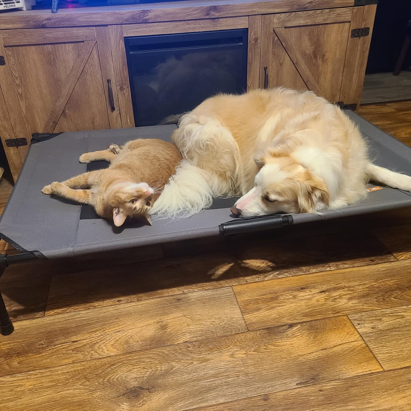 K&H Outdoor Elevated Dog Bed, Cooling Raised Dog Bed, Charcoal, XL 50x32in customer photo 1