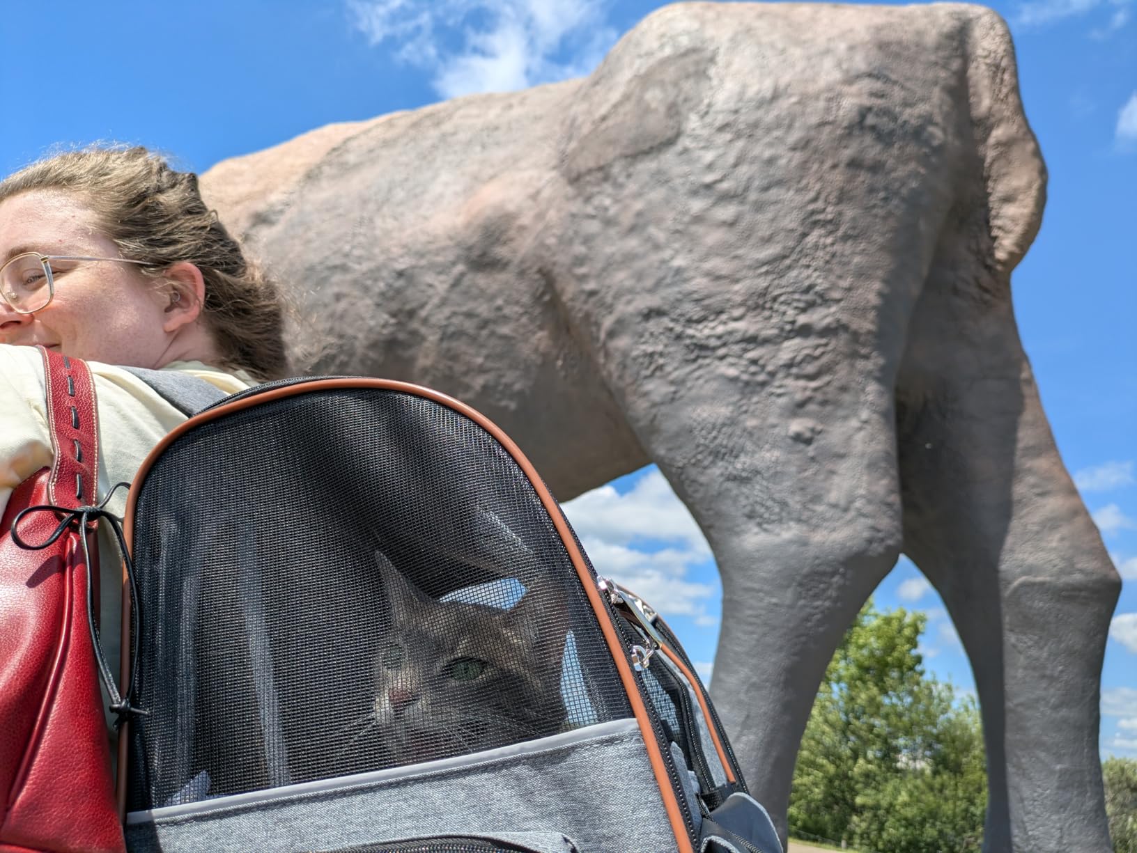 Cat Carrier Backpack, Expandable Pet Carrier with Sun Shade & Full Front Opening, Breathable Mesh Backpack for Small Dogs & Medium Cats Up to 18 Lbs, Foldable for Hiking, Camping (Grey) customer photo 2
