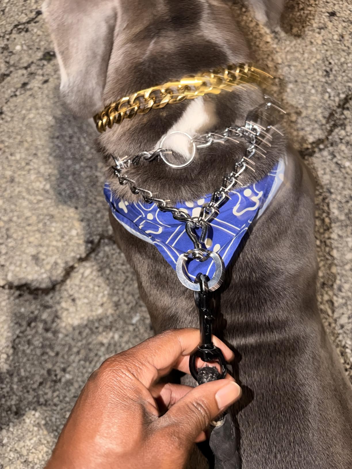 Prong Collar for Dogs, Dog Training Collar for Small Medium Large Dogs customer photo 1