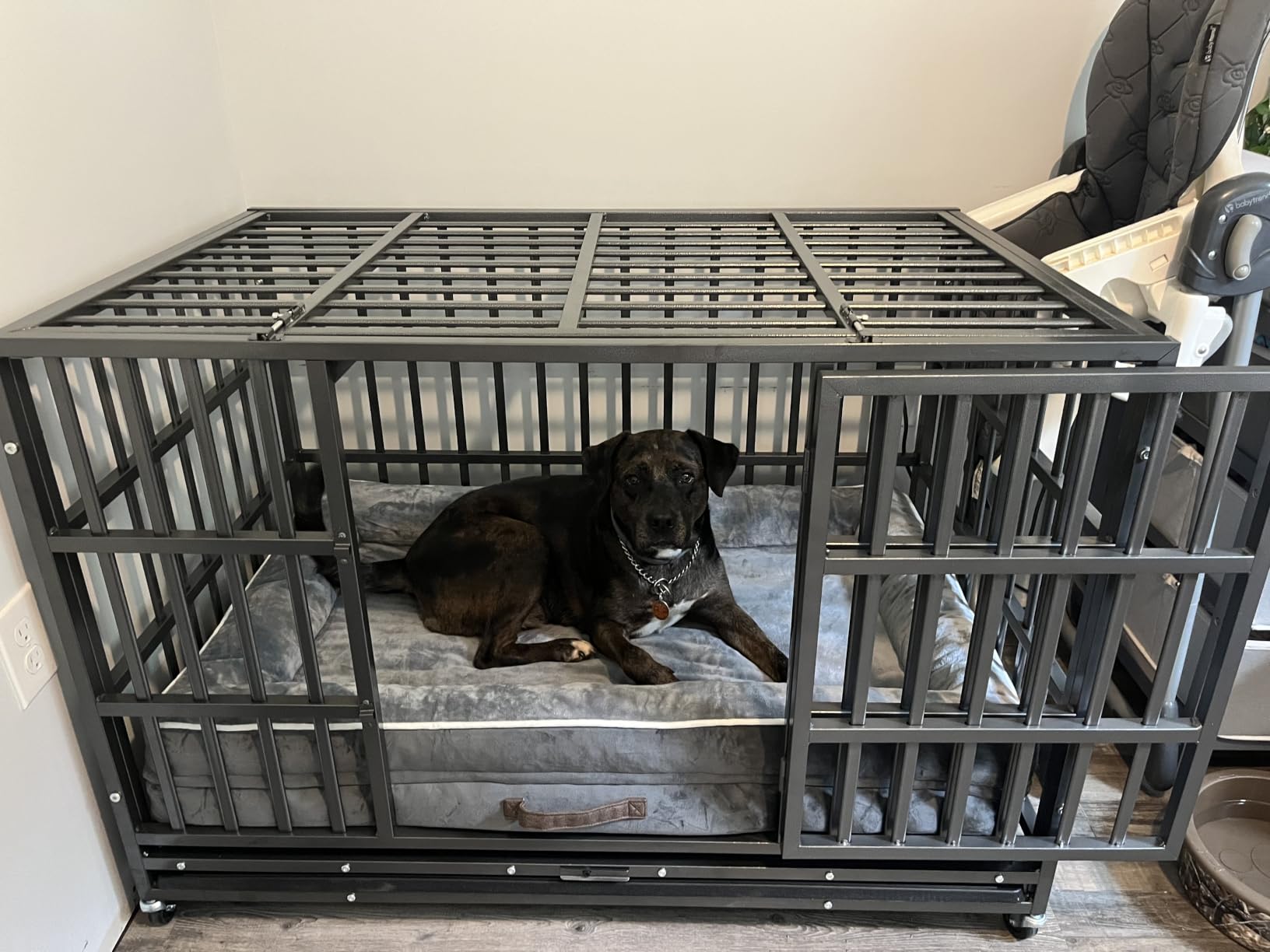 Hiwokk 48 Inch Heavy Duty Dog Crate, Indestructible Kennel for Large Dogs customer photo 1