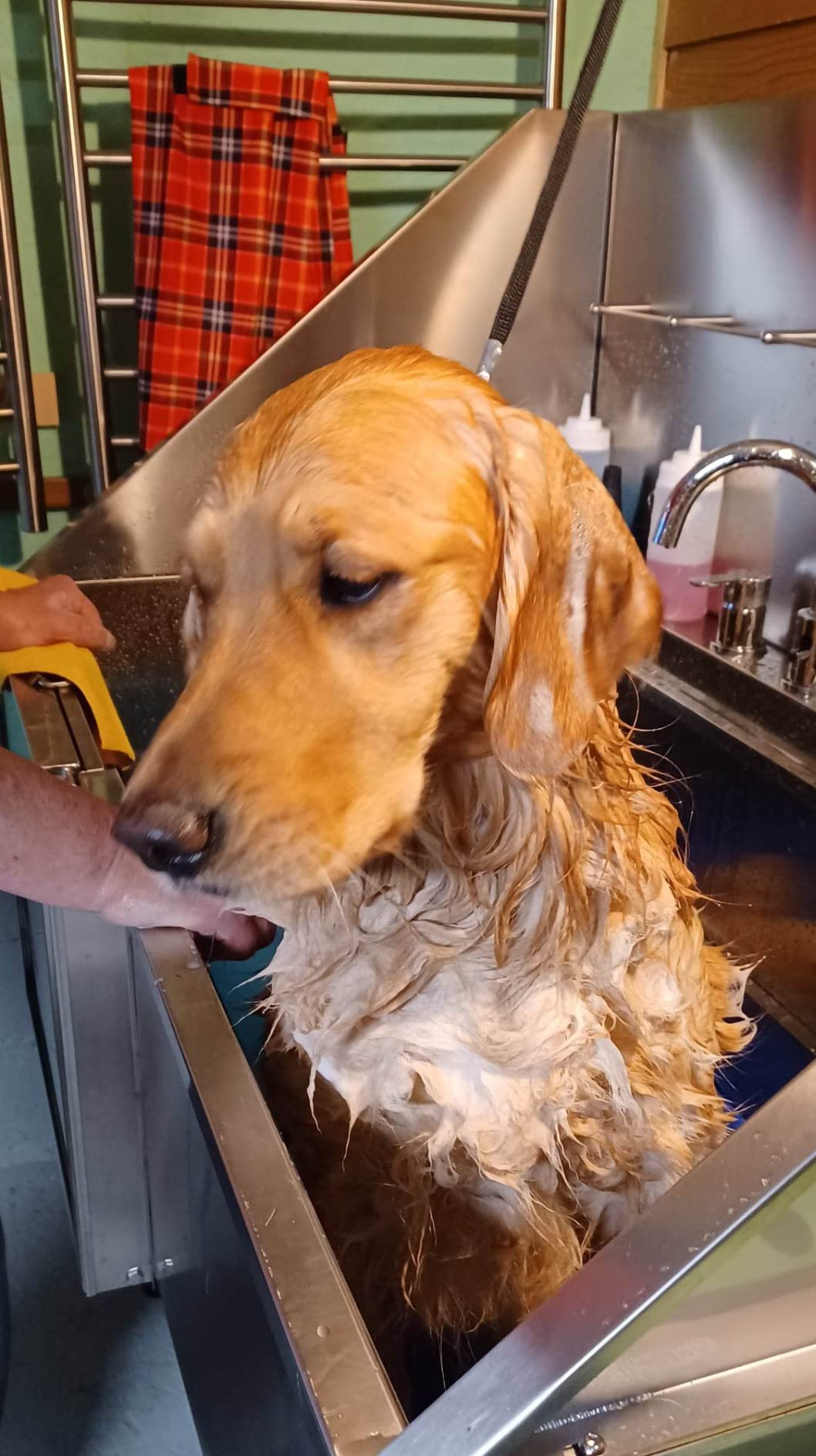 KANIS Professional Dog Washing Station 304 Stainless Steel Pet Wash Sink customer photo 2