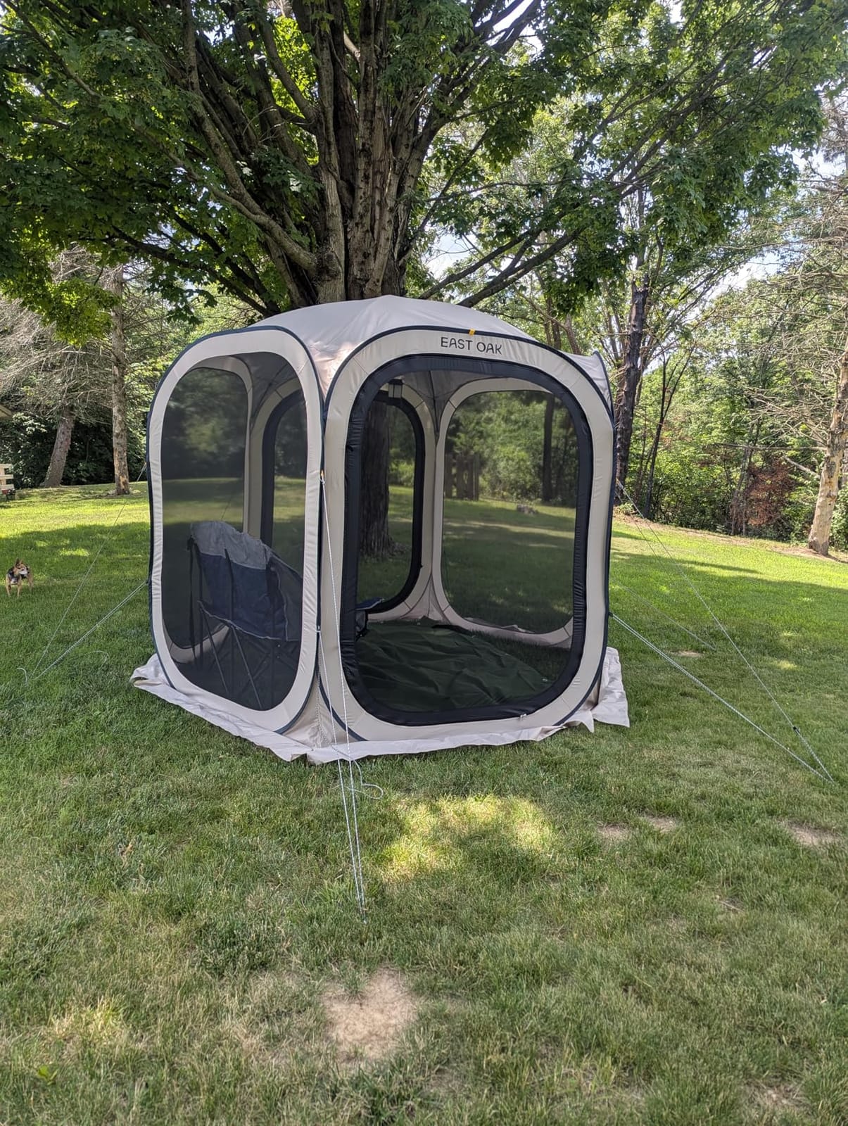 East Oak Pop up Screen Tent with Mosquito Netting, Portable Screen House Canopy Shelter, 10 x 10 FT Instant Screen Gazebo & UPF 50+ UV Protection for Patio, Backyard, Deck & Outdoor Activities, Beige customer photo 1